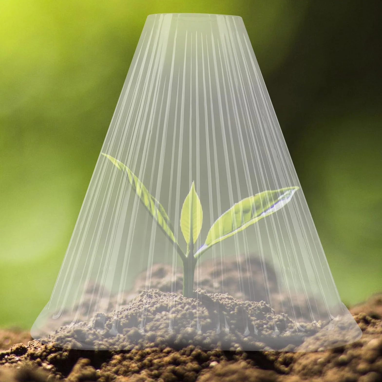 BAIFULAI Lot de 30 chapeaux de plantes transparents Ø 19 cm réutilisables protection contre oiseaux limaces gel