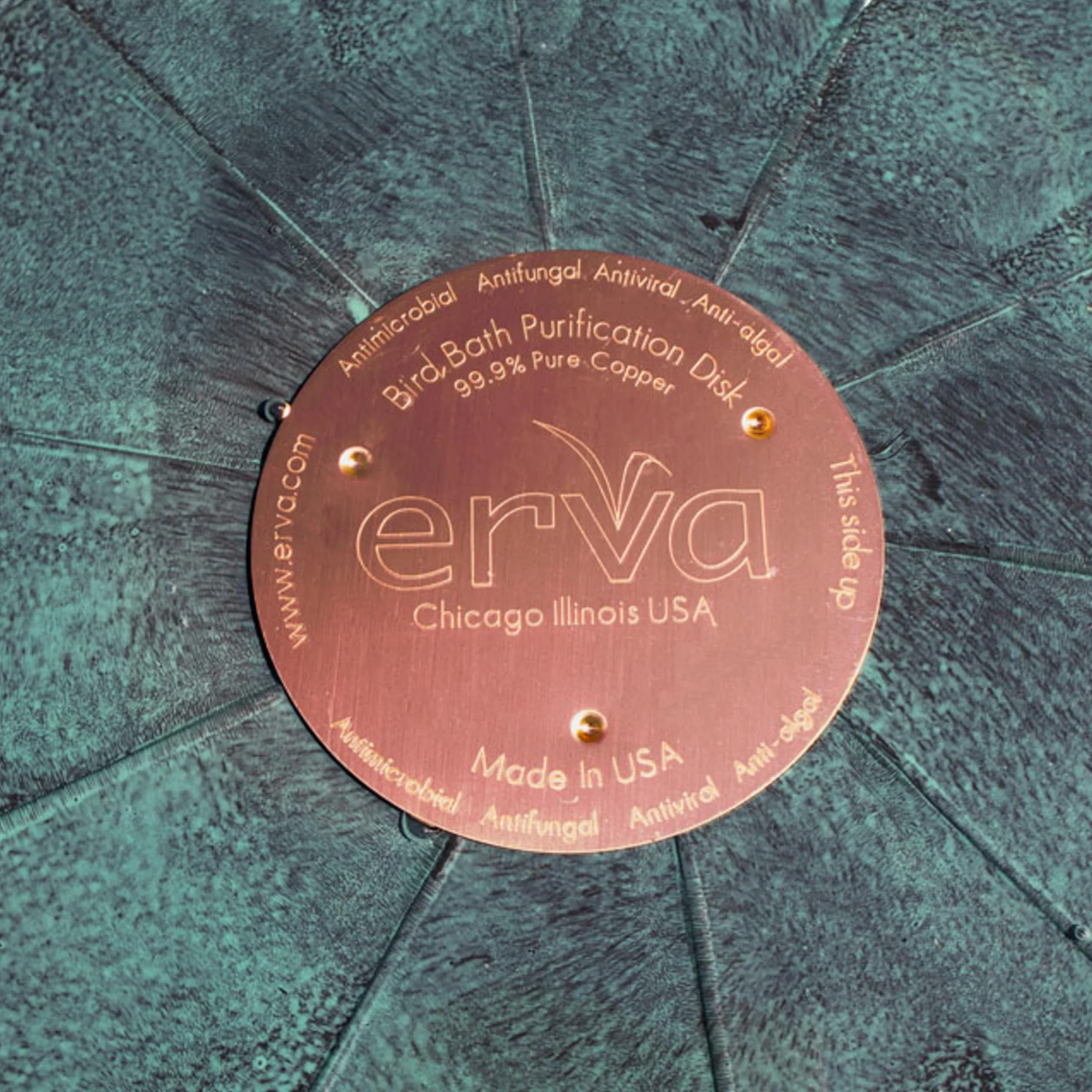 Erva Disque de purification pour bain d'oiseaux en cuivre Fabriqué aux États-Unis