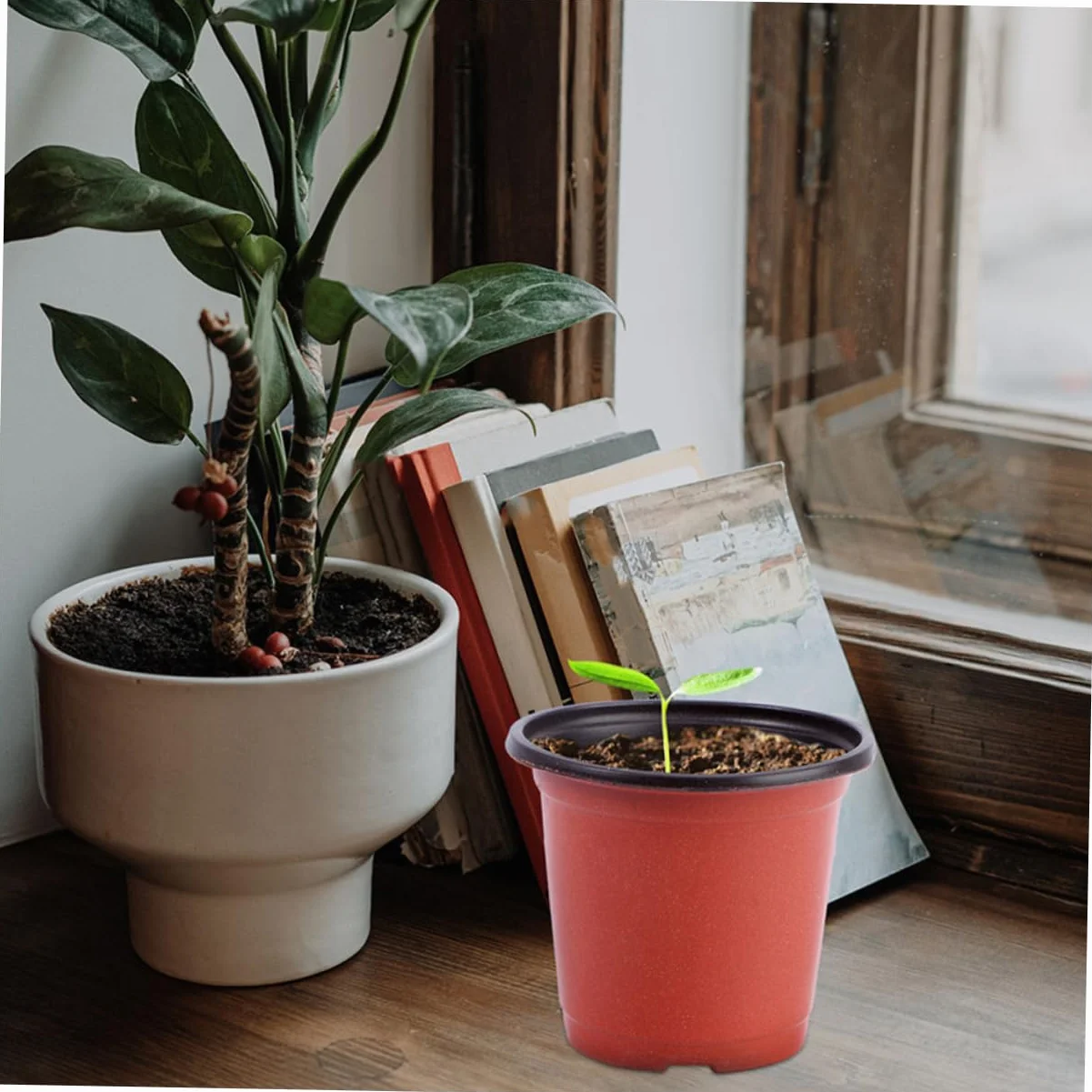 Gatuida 120 Pots pour Semis avec Drainage, Pots de Fleurs Plastique Légers pour Plantes Succulentes et Extérieur