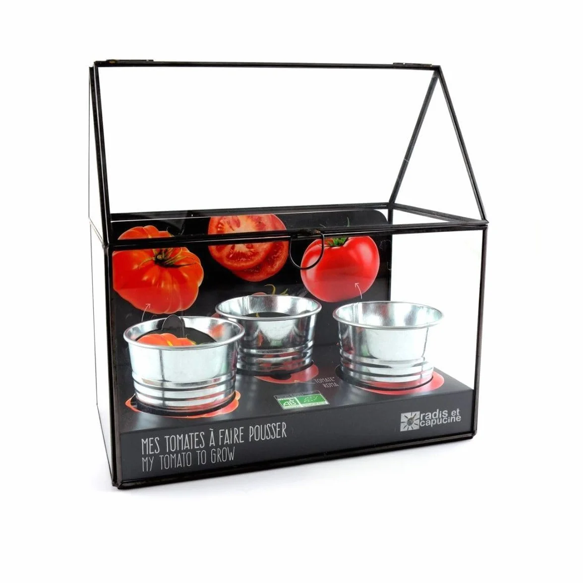 Serre avec châssis zinc noir Tomates bio 3 pots