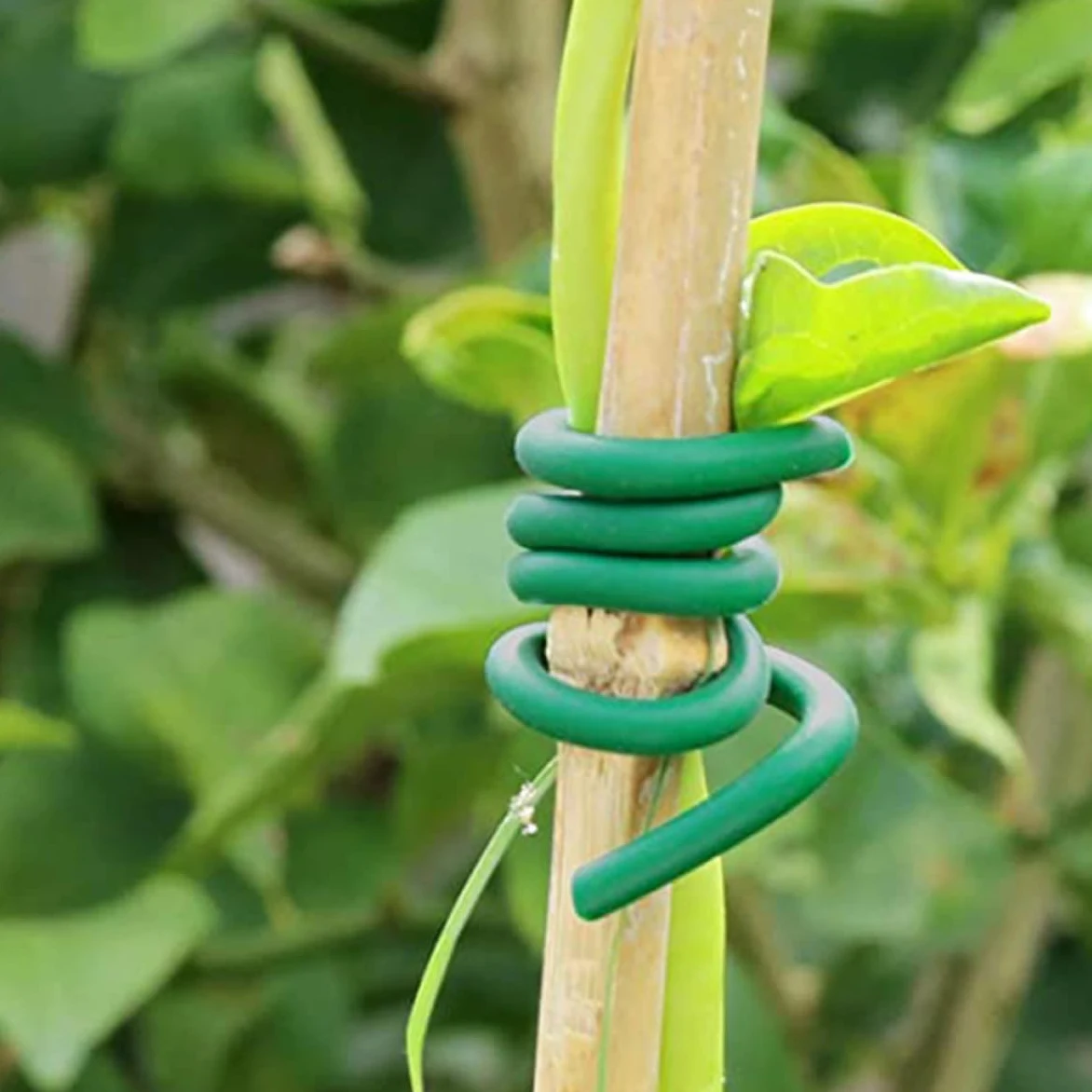 DOITOOL 2 Rouleaux de Liens de Jardinage Verts en TPR pour Fixation Sécurisée des Fleurs Plantes Grimpantes, Outil Pratique pour Attacher Branches et Vignes Jardin