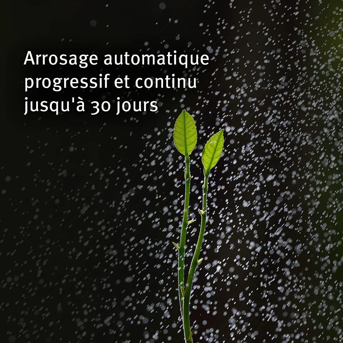 AQUA CONTROL Biogel C2140 Eau Solide pour Plantes, Arrosage Vacances 30 Jours, 400 ML