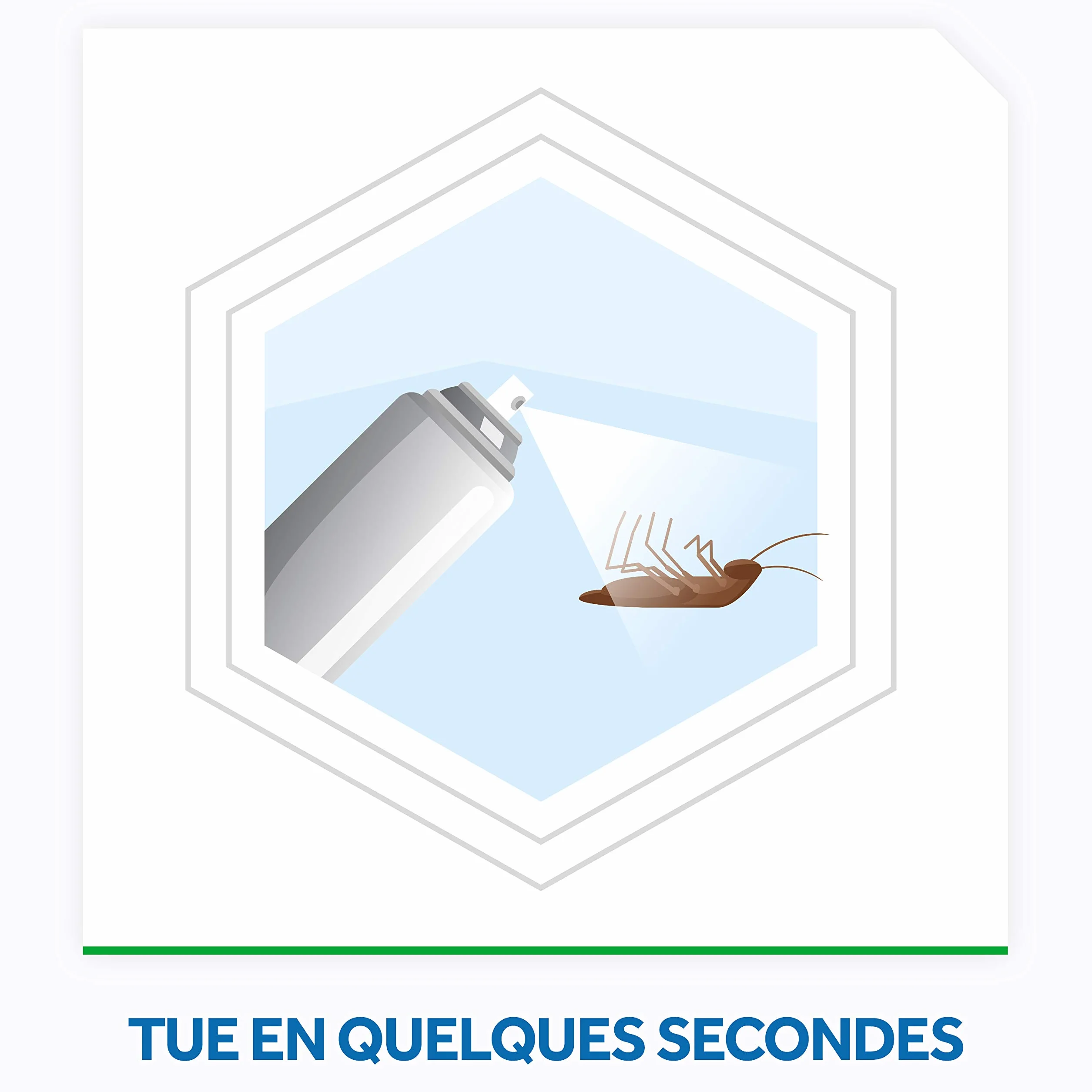 Baygon Insecticide pour cafards et fourmis 400ml