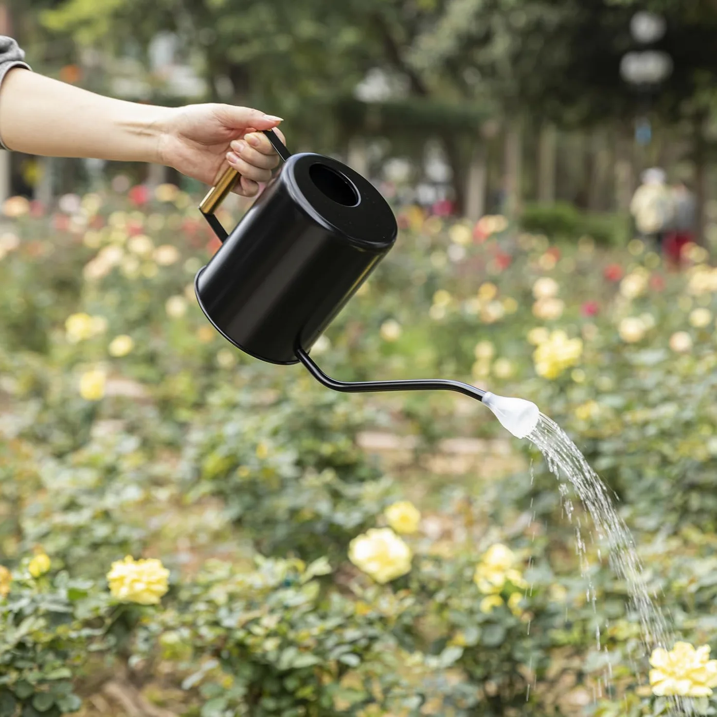 L&H Unico Arrosoir en acier inoxydable de 1,927,8 g à long bec pour arrosage de plantes d'intérieur ou de jardinage extérieur avec 2 becs de pulvérisation amovibles pour fleurs - Noir