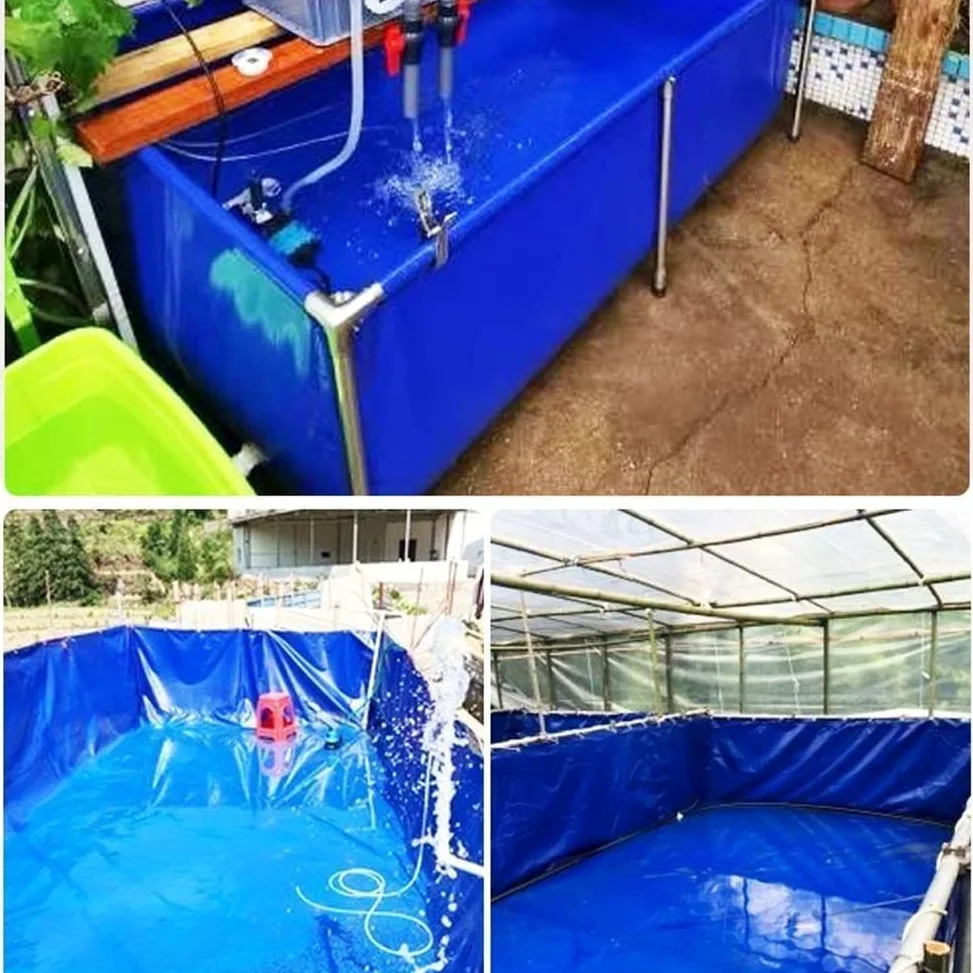 Aquarium d'extérieur Portable pour Poissons d'eau de mer - Piscine en Toile PVC avec vanne de vidange, la Solution de Stockage d'eau idéale pour Les carpes koï, Les Aquariums et Les Poissons