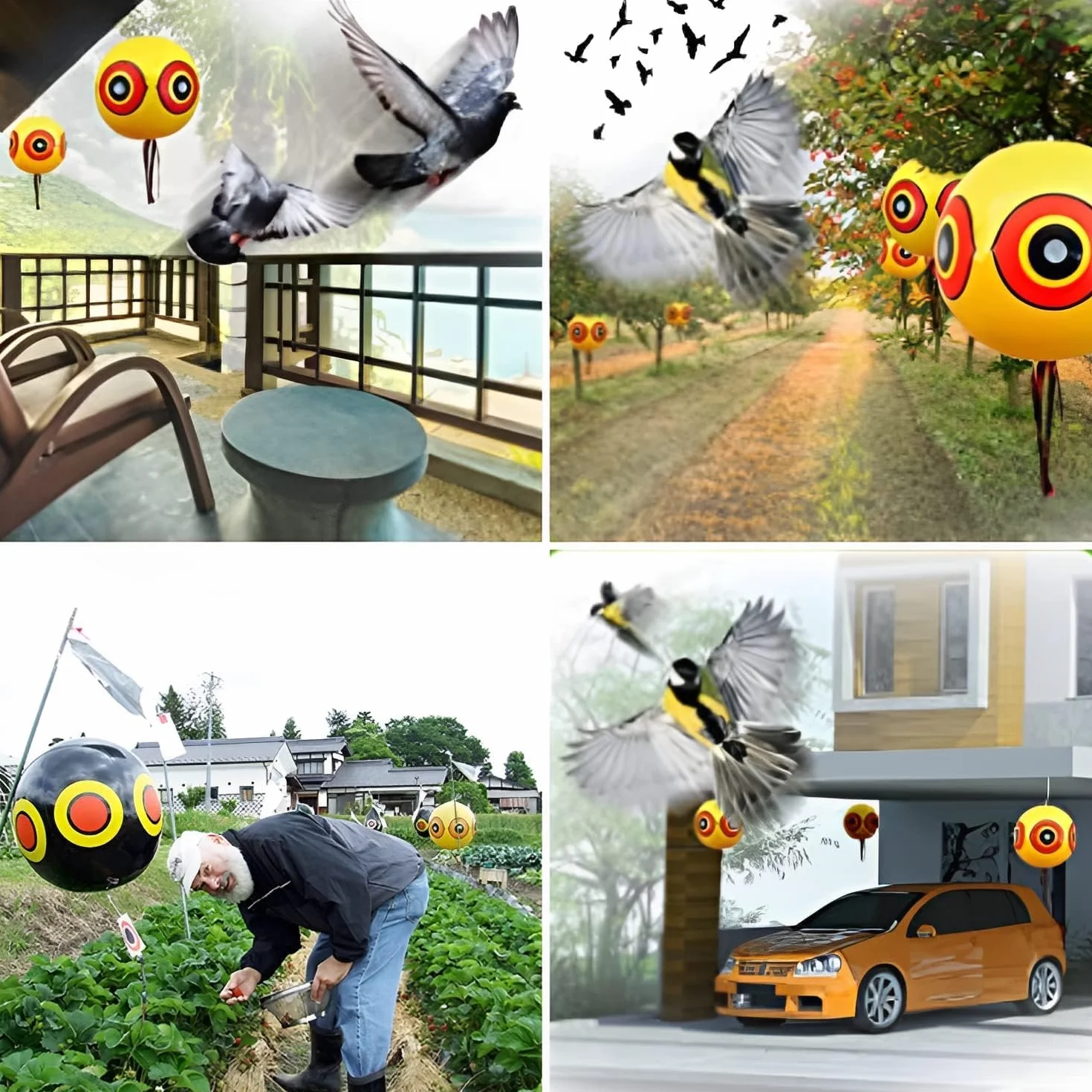 Ballon Anti-Oiseaux avec Yeux, Lot de 3, Répulsif pour Pigeons avec Corde, 3 Couleurs