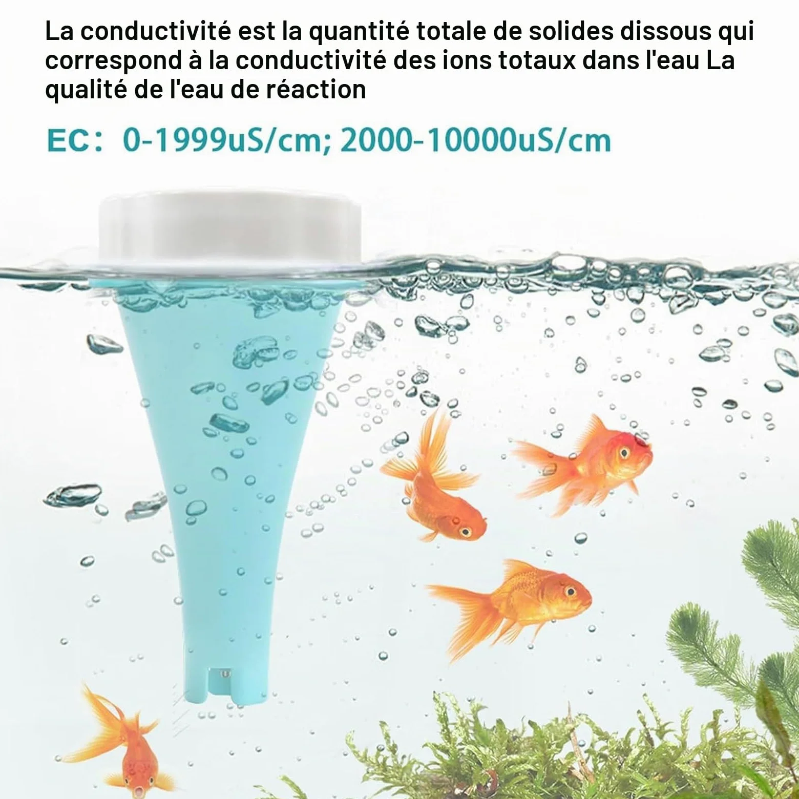 Generic Testeur d'eau Bluetooth pour piscine – Surveillance du pH et du chlore – 1 pièce