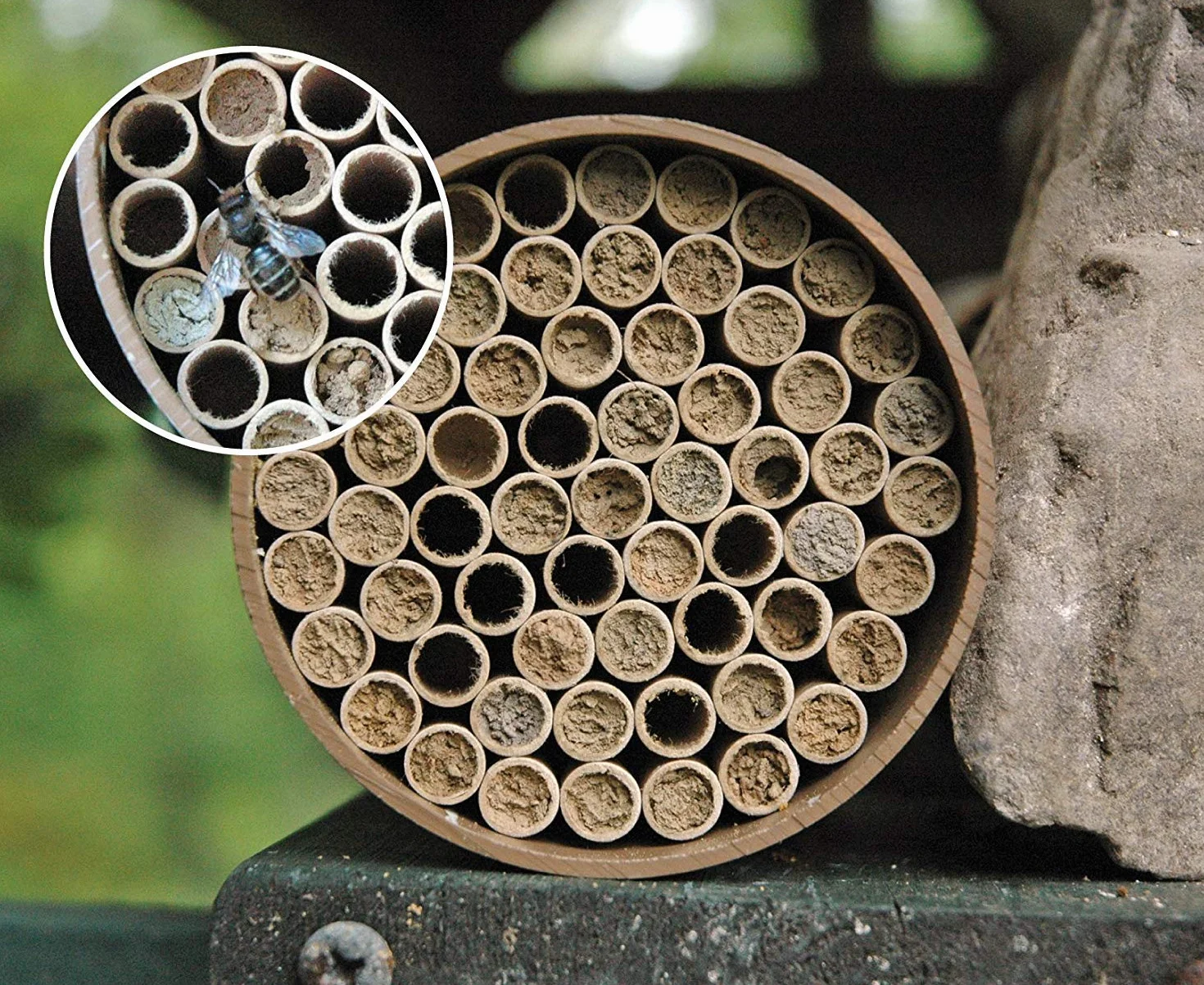 Lot de 200 tubes en carton de remplissage pour hôtel à insectes sauvages