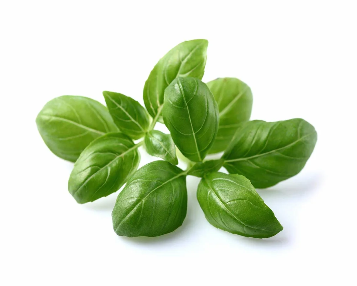 Click and Grow Smart Garden Recharge Triple de Basilic