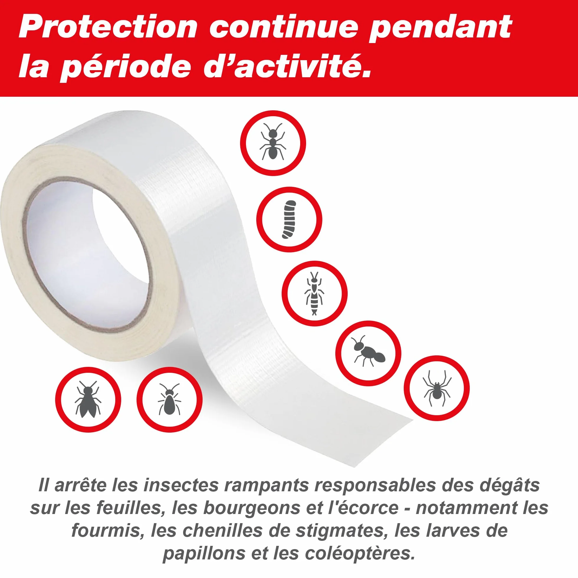 SWISSINNO Ruban adhésif Anti-Fourmis pour Insectes rampants 5 cm x 5 m Protection des Arbres