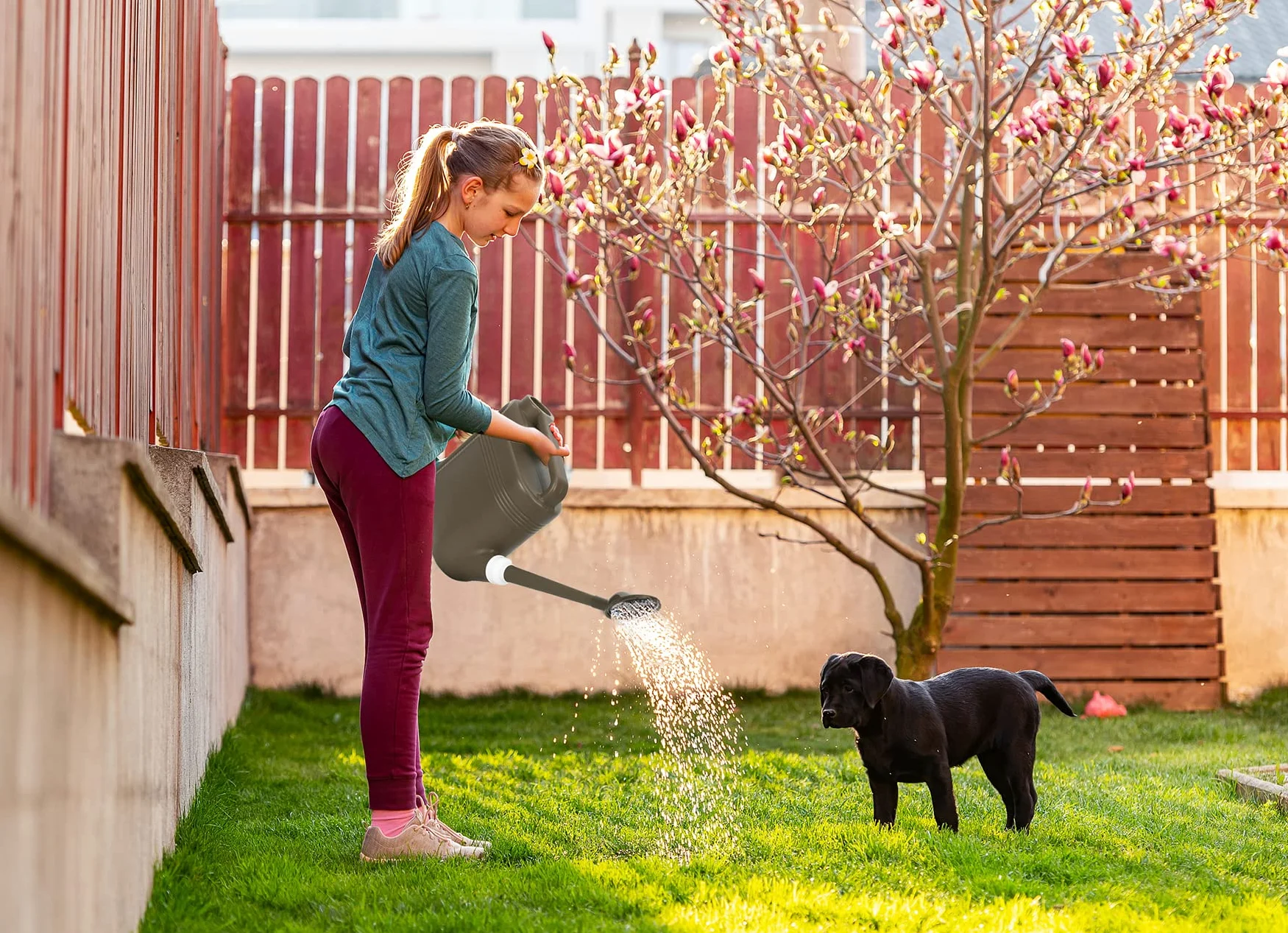 Arrosoir de 5,5 gallons pour plantes d'extérieur et d'intérieur, grand arrosoir de jardin léger et capacité de 5,5 L, arrosoir en plastique avec long bec et tête d'arrosage amovible en métal, gris