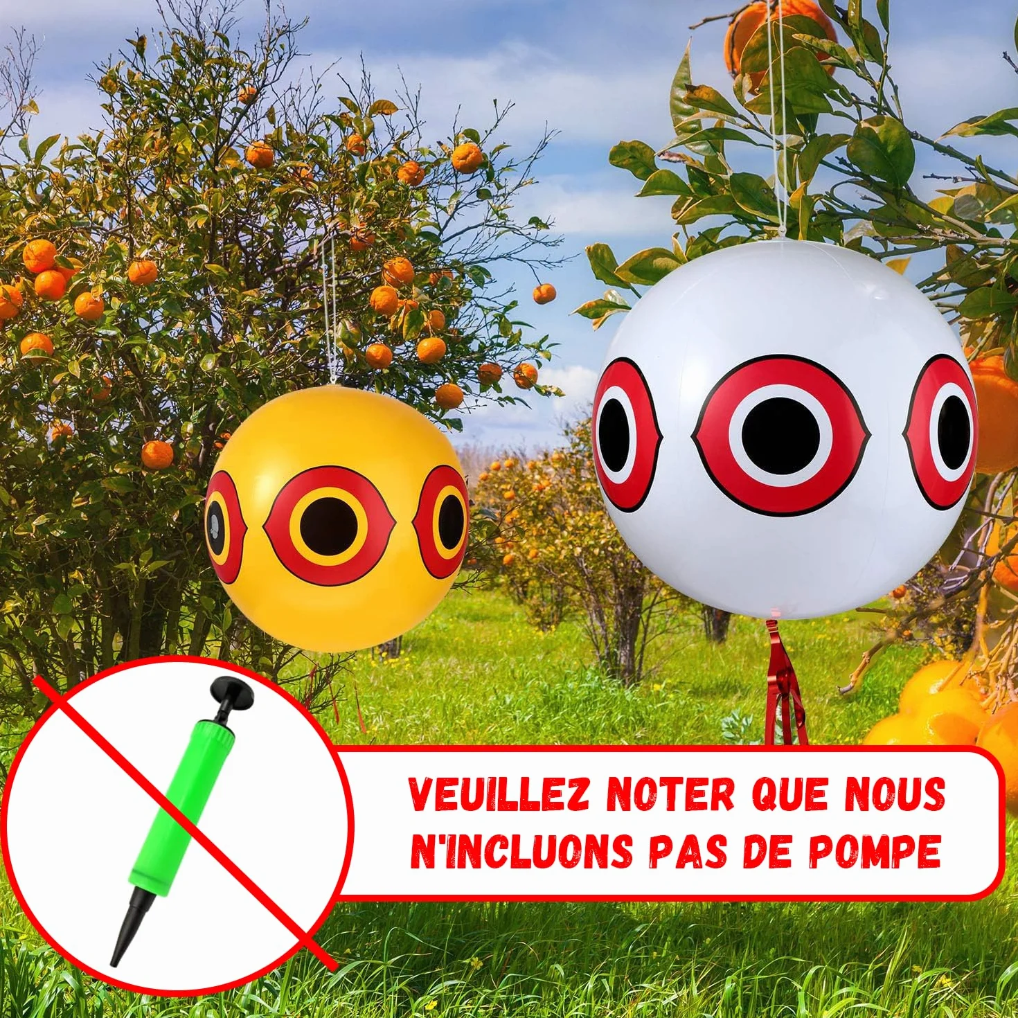 Ballon Anti-Oiseaux avec Yeux, Lot de 3, Répulsif pour Pigeons avec Corde, 3 Couleurs