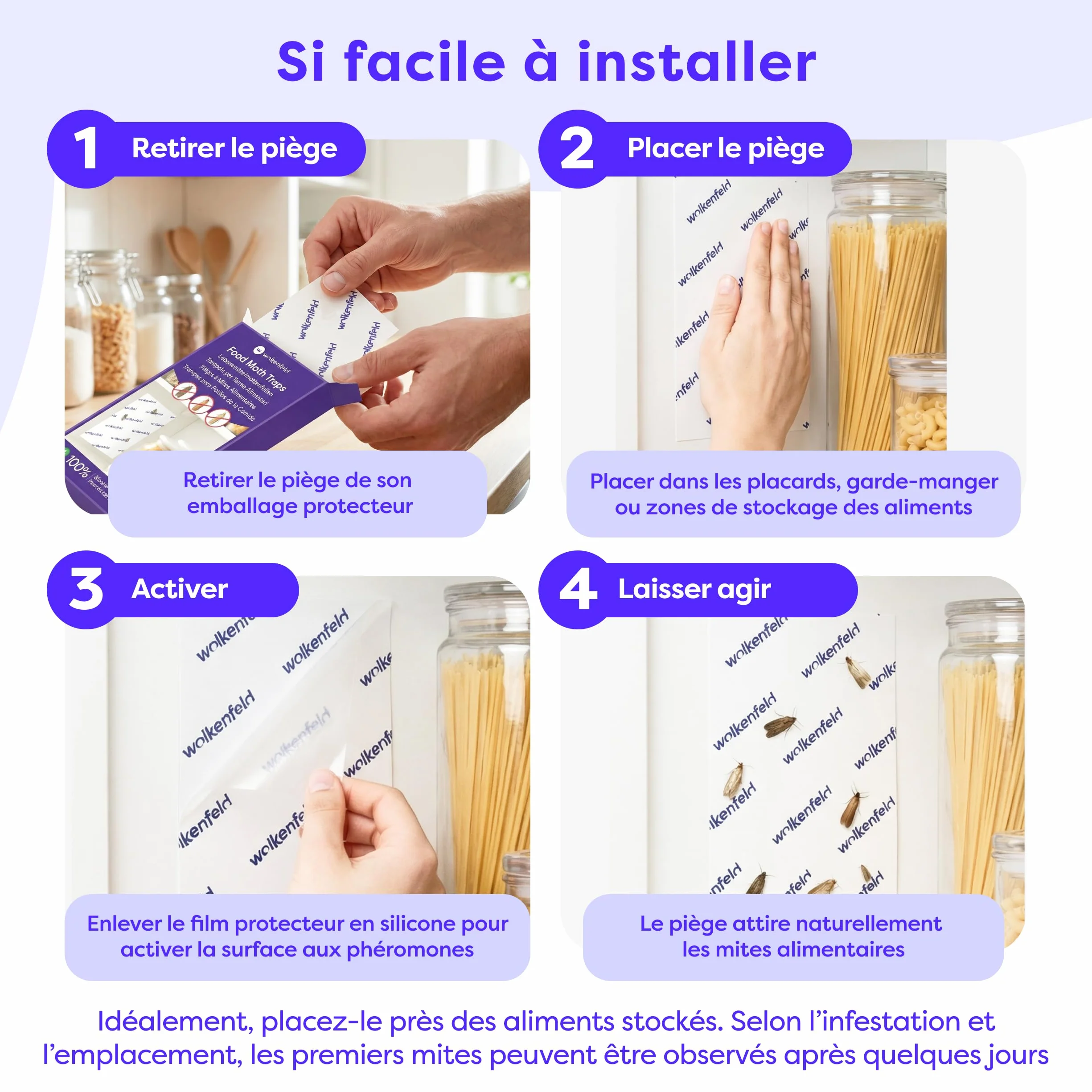 Wolkenfeld Piège à Mites Alimentaires x10 – Anti Mites Alimentaires Phéromone – 10 Pièges – Made in Germany
