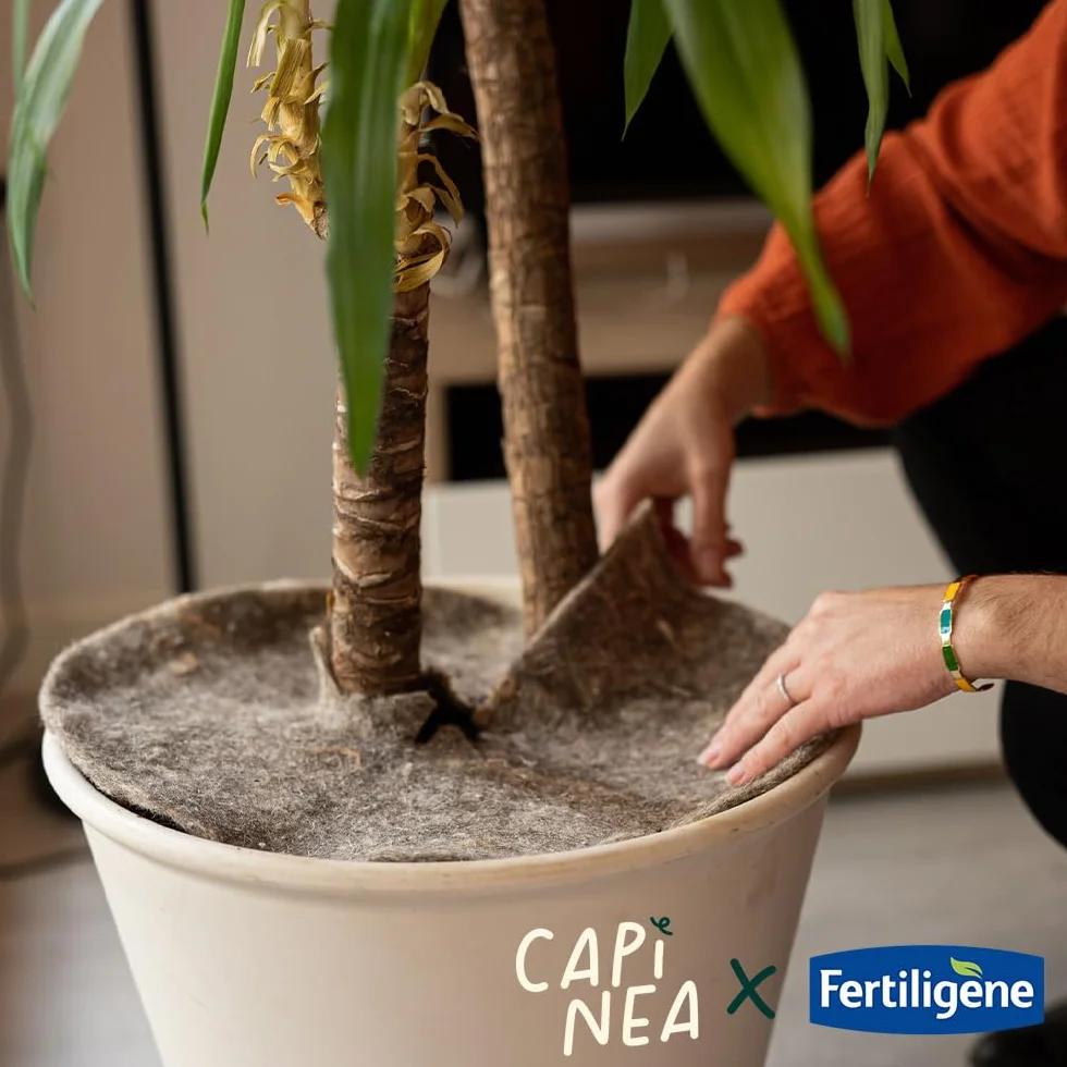 Fertiligène Capinea X Disque de paillage