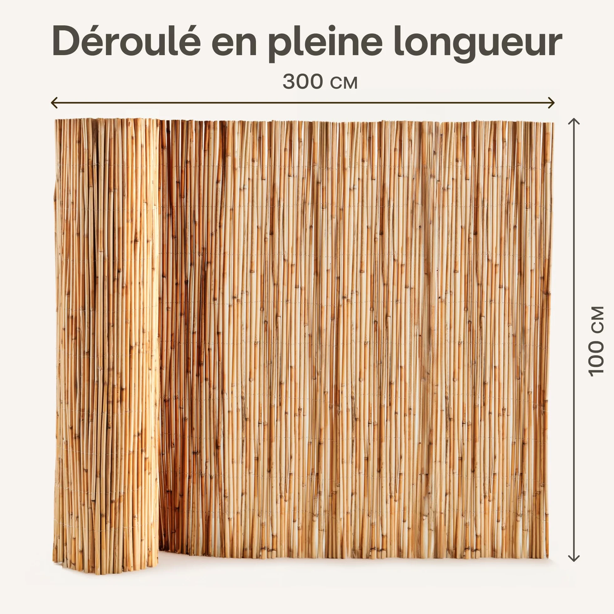 Canisse Roseau Naturel 1m x 3m FSC Certifié 100x300cm pour Balcon Jardin