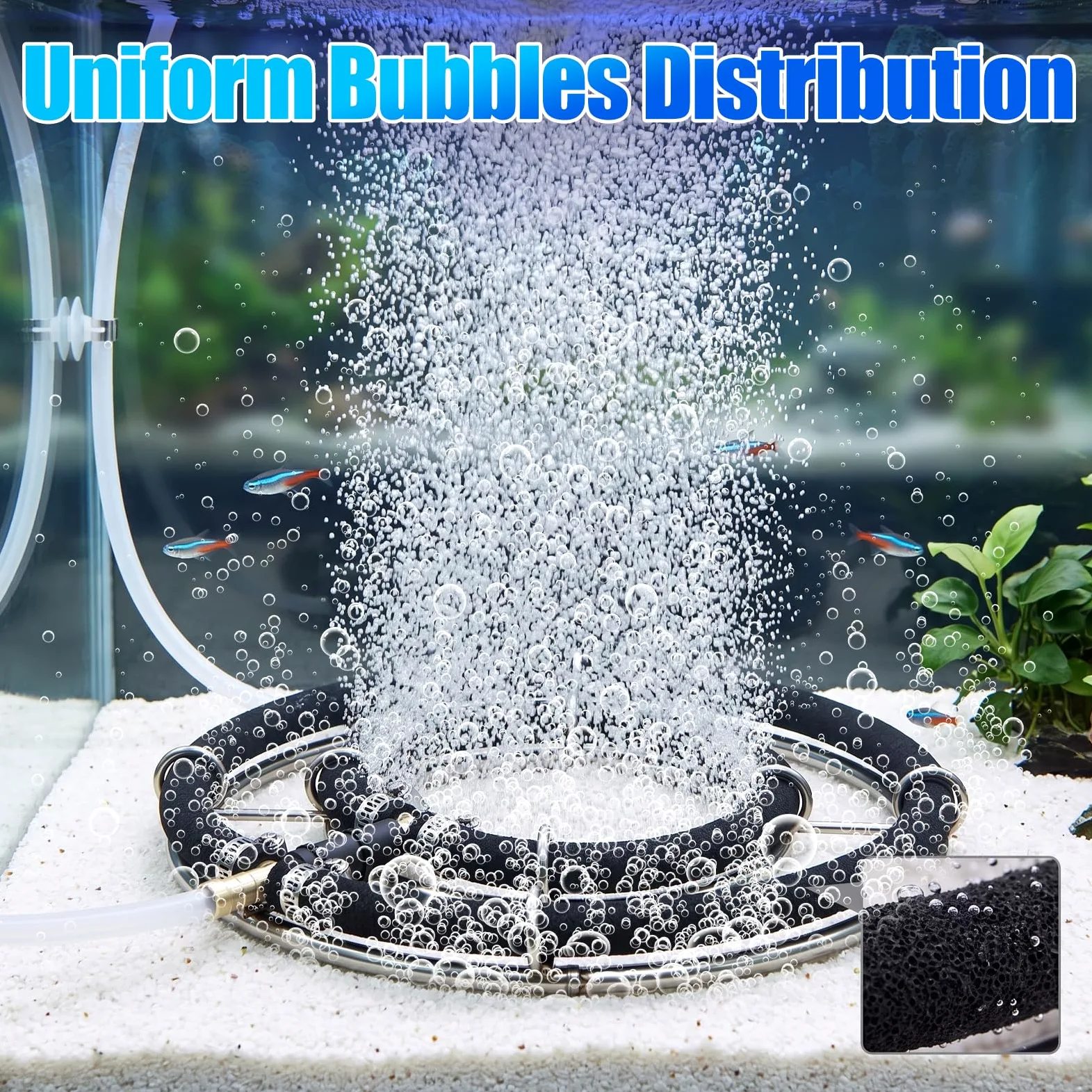 Disque D'aération pour Bassin Anneau de Diffuseur de Bulles d'air Plaque D'aération Microporeuse en Acier Inoxydable 304 Distribution Uniforme des Bulles (Double Cercle 25 cm/9,84 Pouces de