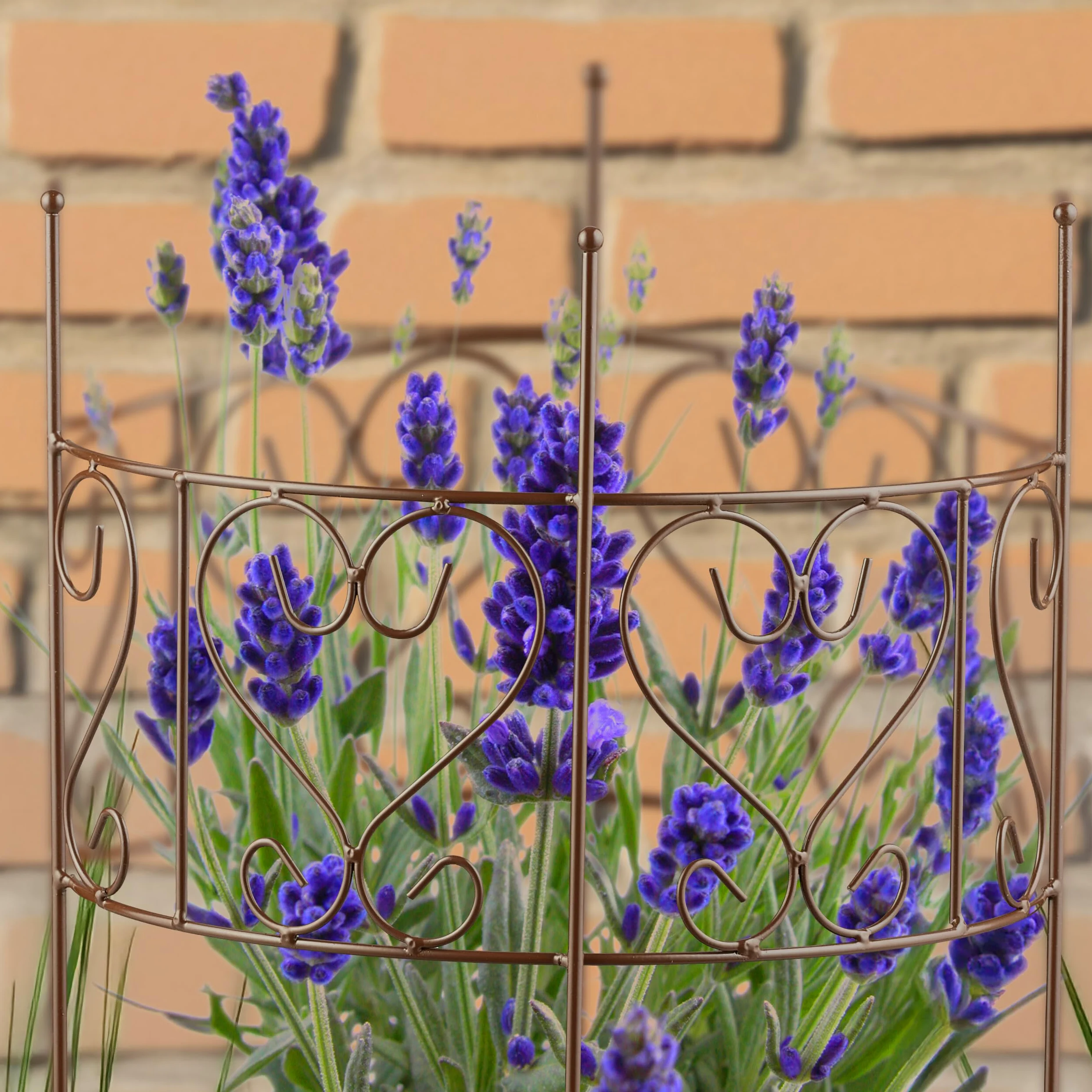Relaxdays Tuteur Demi-Cercle, Lot de 2, Support Plantes Semi-Circulaire Fleurs et Plantes, hxl: 41,5x31 cm, Acier, Brun