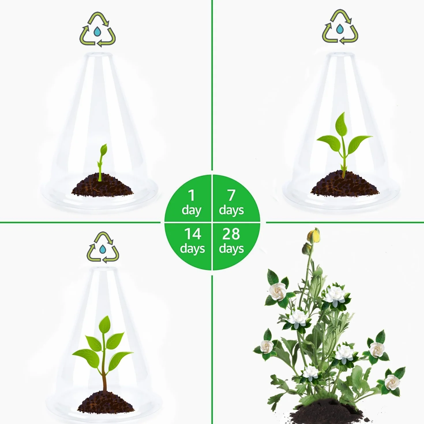Chapeaux de Plantes Transparent 20 cm 24 Pièces Protection Oiseaux Gel Intempéries
