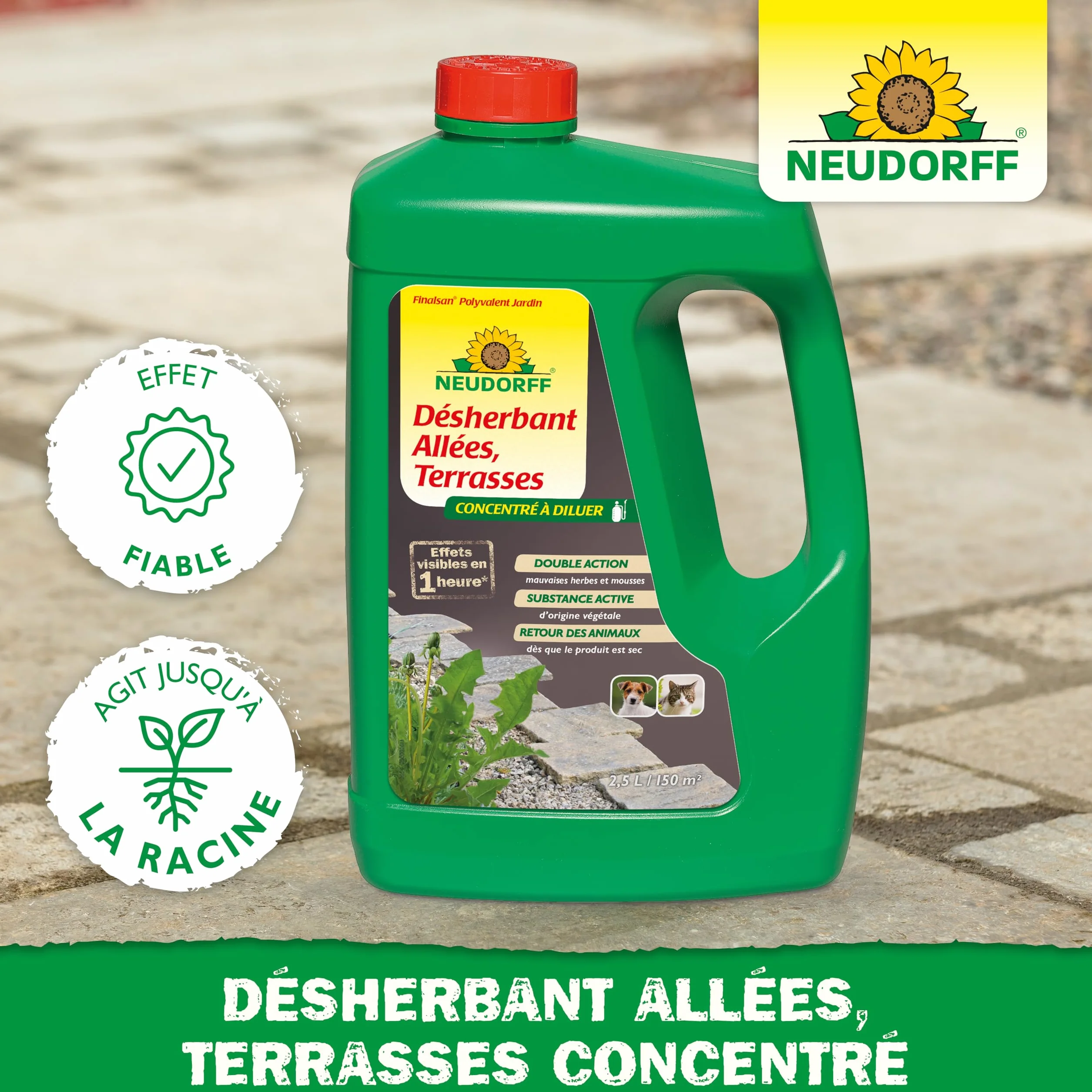 Neudorff Finalsan Désherbant Allées Terrasses 2,5 L sans glyphosate action rapide