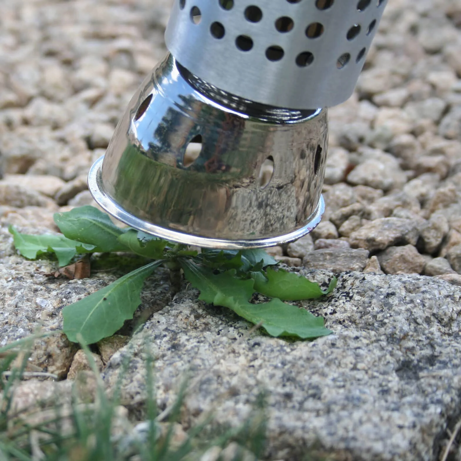 HOZELOCK Désherbeur Thermique Electrique Green Power Evolution Plus, Herbicide Écologique, Sans Flamme Ni Gaz, Éléments Chauffants en Céramique