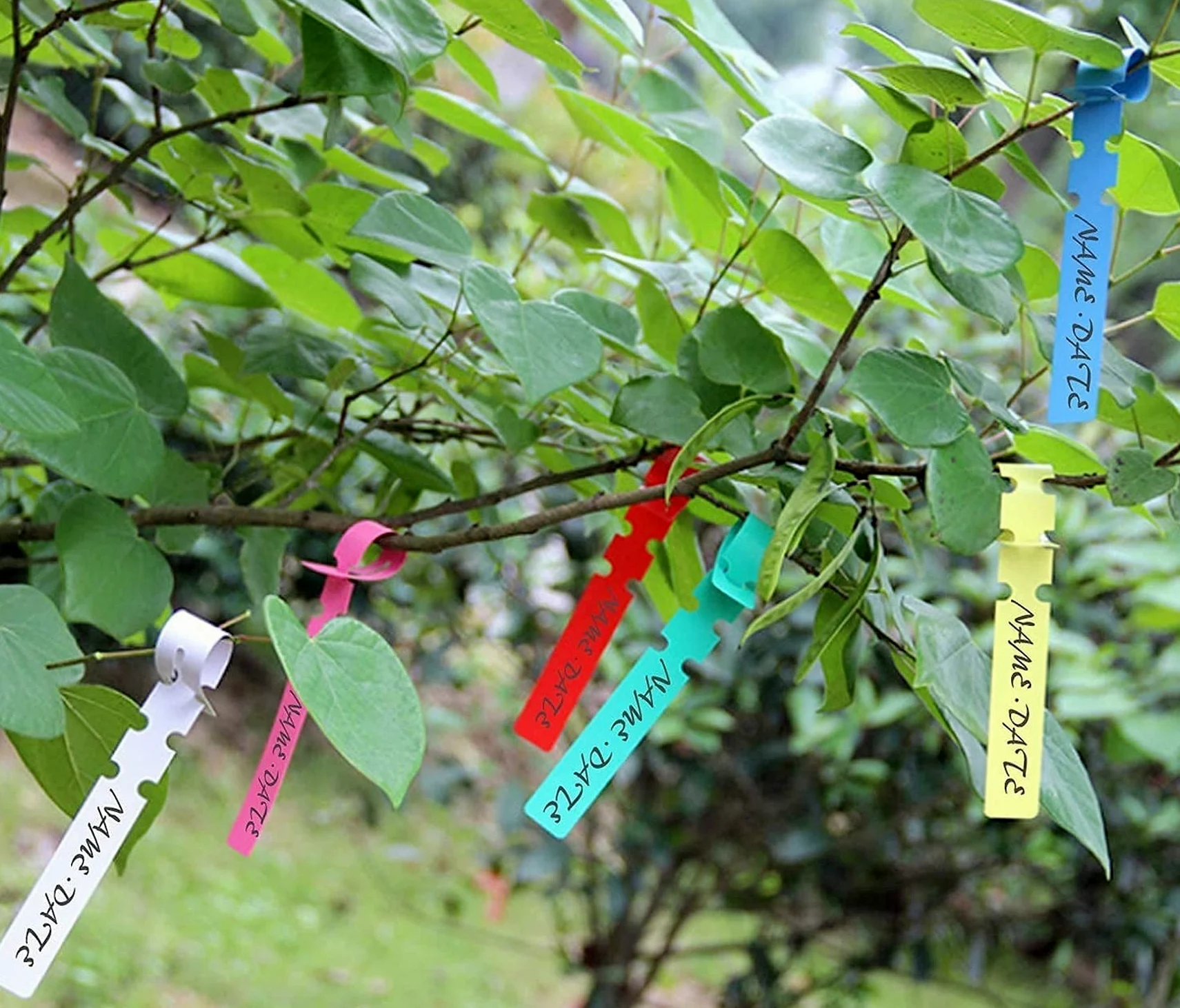 Greffage Outil Kit, Jardin Sécateur Ensemble Y Compris Lames De Rechange, Greffage Couteau, Greffage Bandes, Les Étiquettes des Plantes et Jardin Clips, Parfait pour Arbres Fruitiers Greffage