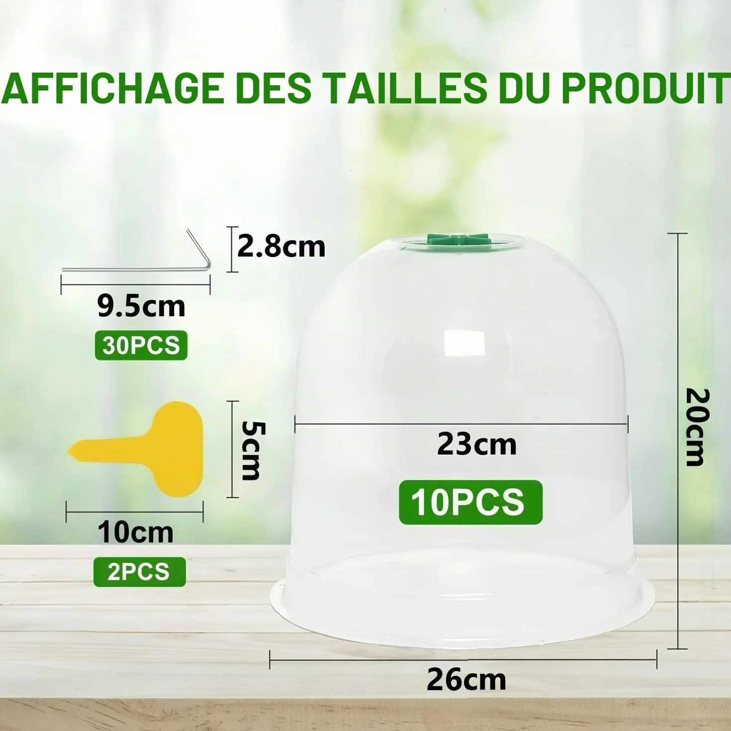 Cloche pour Plantes de Jardin LATERN 26CM x 20CM Mini Serre en Plastique 10 Pièces avec Piquets de Fixation