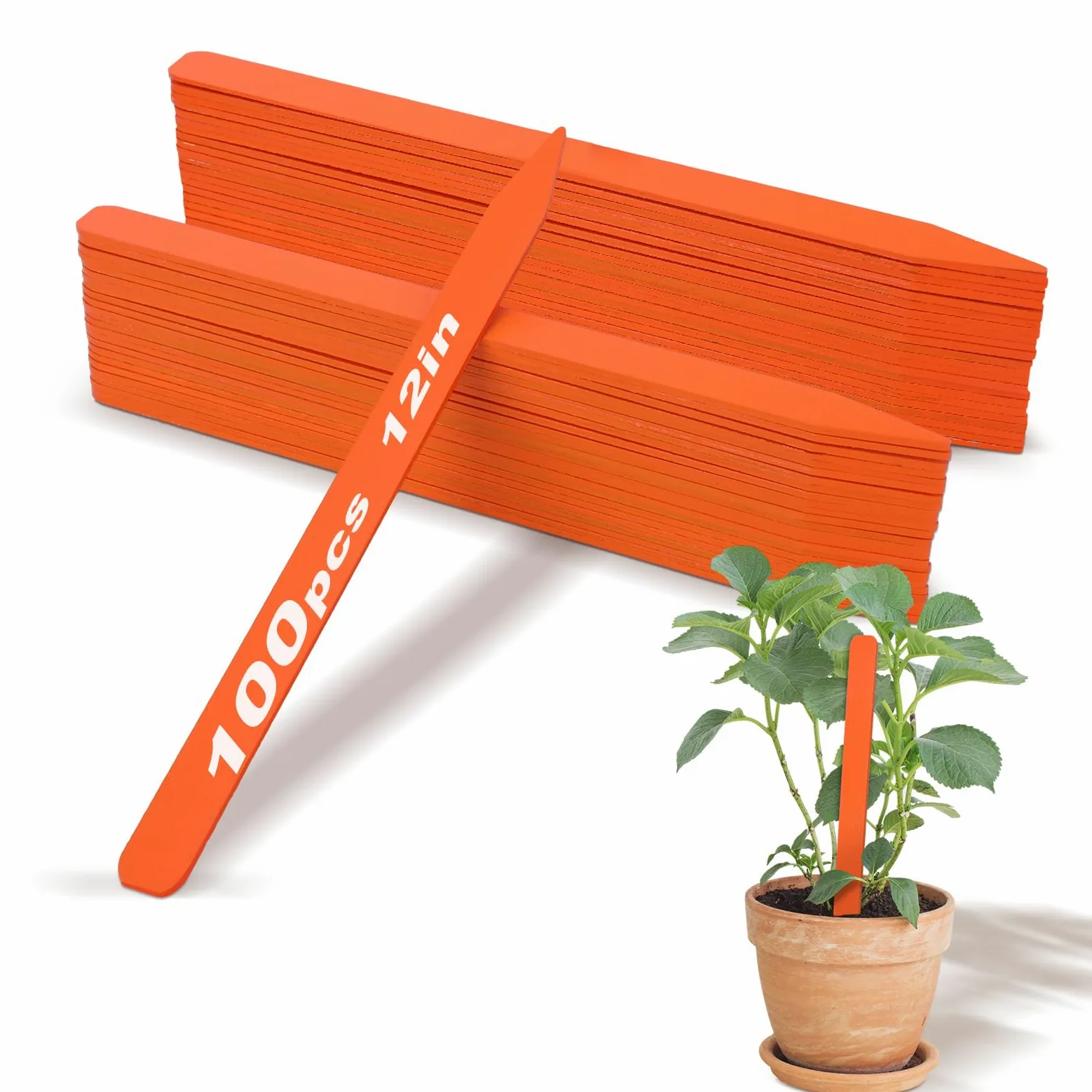 Weysat Lot de 100 étiquettes en bois de 30,5 cm pour plantes de champ ou conteneurs, étiquettes de jardin en bois pour semis, marqueurs, graines de pépinière, étiquettes avec surface lisse pour pots