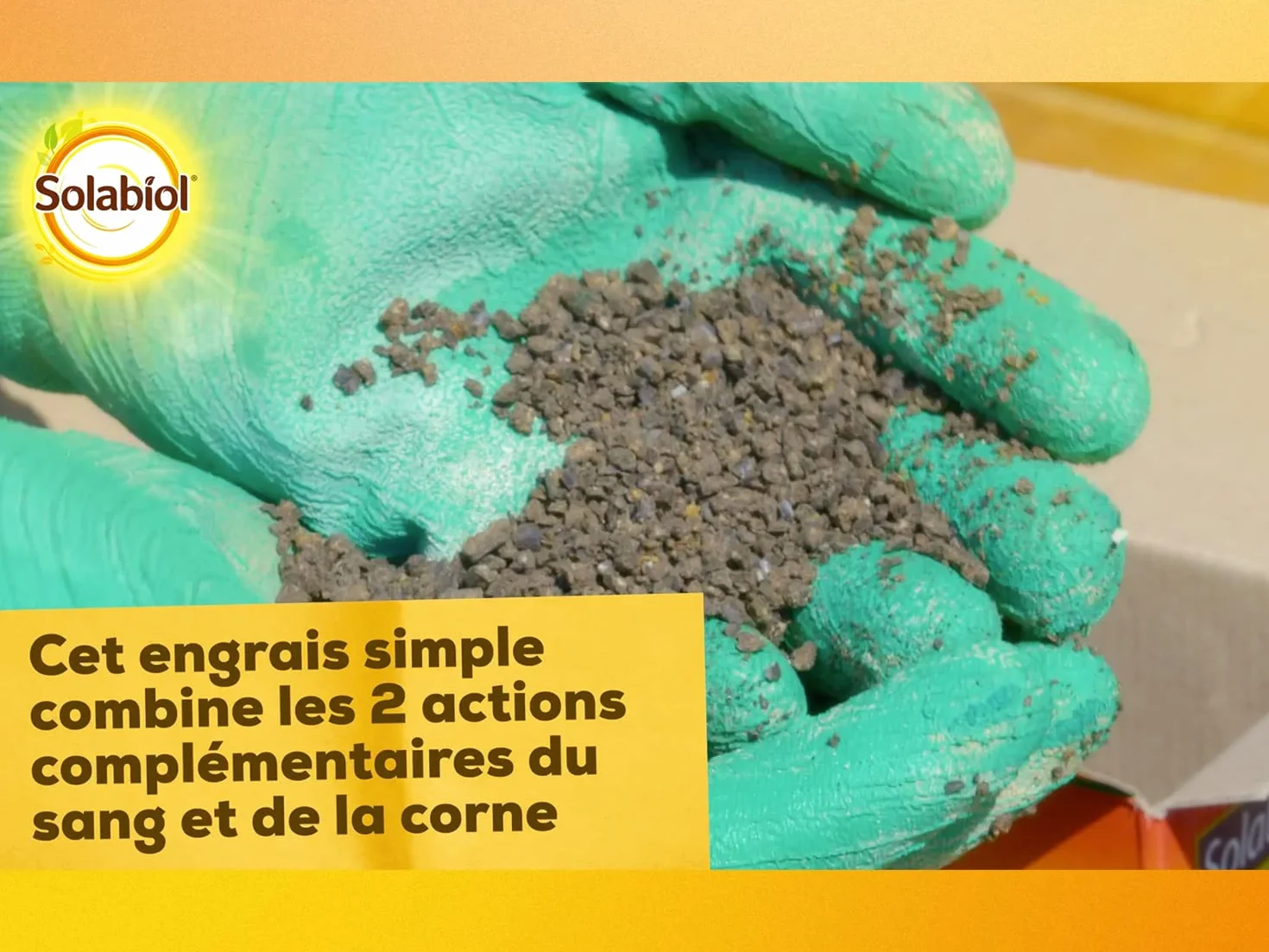 SOLABIOL Engrais Sang Et Corne 4Kg Jusqu'à 100m² Effet Rapide Longue Durée Agriculture Biologique