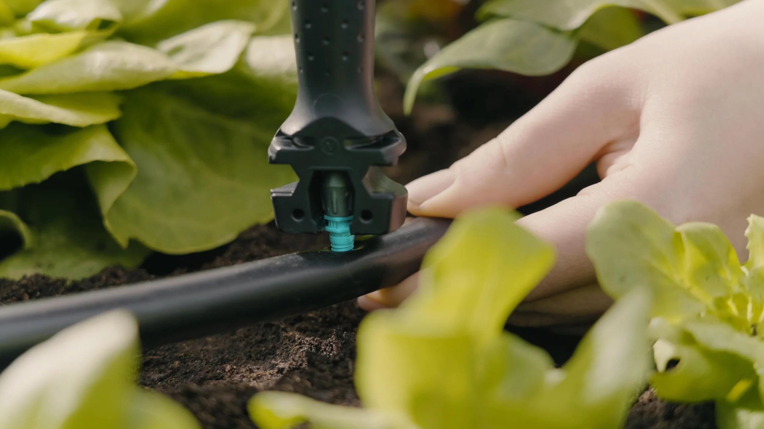 Gardena Micro-Drip System Kit d'irrigation goutte à goutte pour parterres de légumes/fleurs (40 m²): kit de démarrage prêt à l'emploi, système d'irrigation à économie d'eau (13450-20)