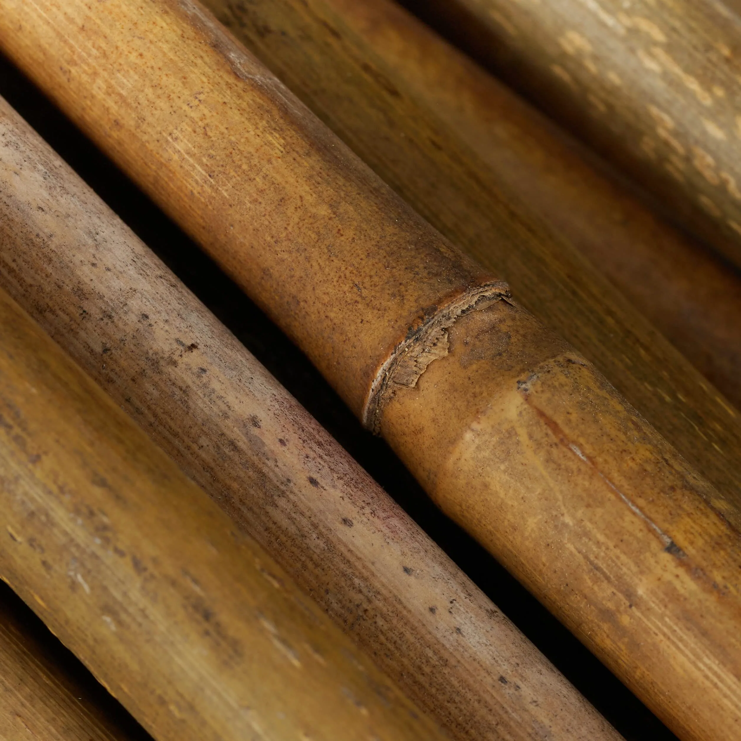 Relaxdays Tuteur pour Plante en Bambou, Lot de 40, 120 cm, Aide à la Croissance des Plantes, Déco, Tiges Bambou, Naturel