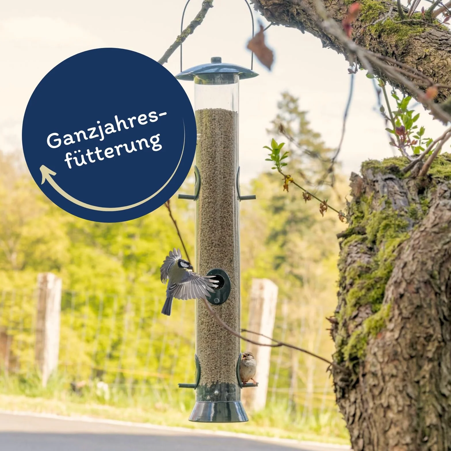 Graines de Tournesol décortiquées brisures 20 kg Nourriture pour Oiseaux Sauvages Lyra Pet