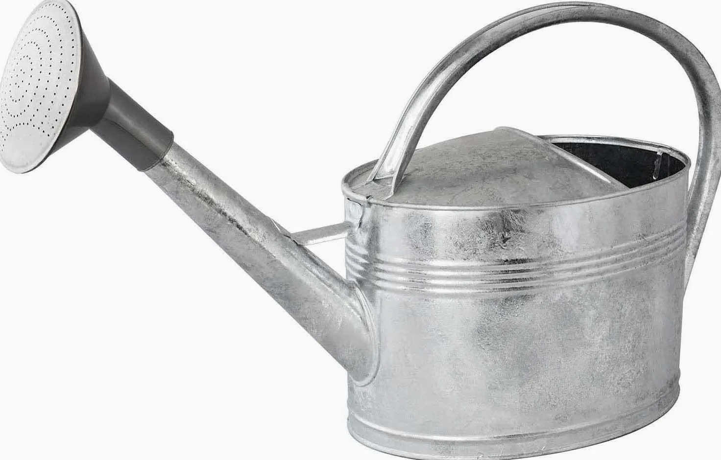 Arrosoir 10L + pomme d'arrosage, Acier