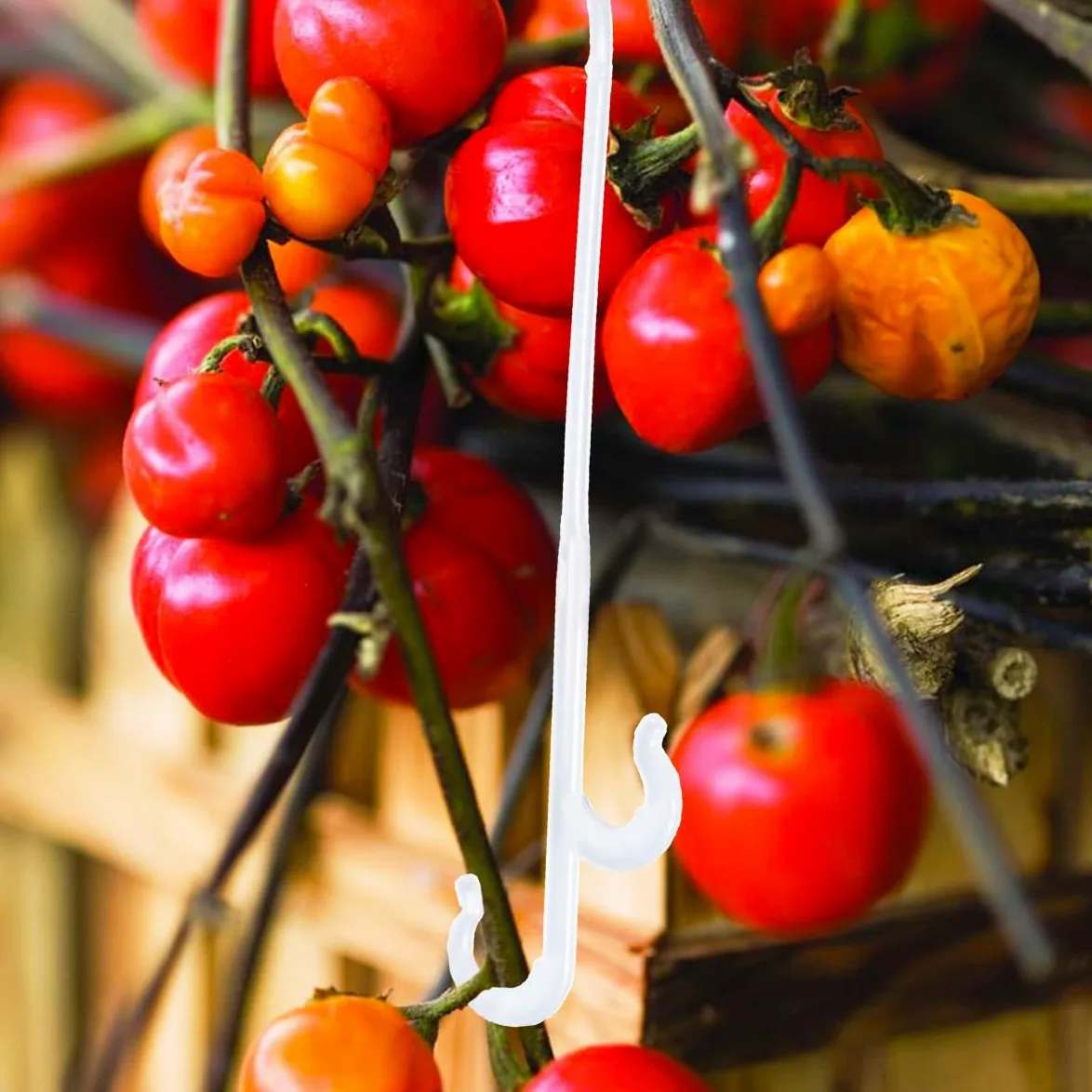 NUOBESTY 850 Crochets de Support en Nylon pour Plants de Tomates et Concombres, Économise Main-d'œuvre et Temps de Fixation, Adaptés pour Serrage et Jardin