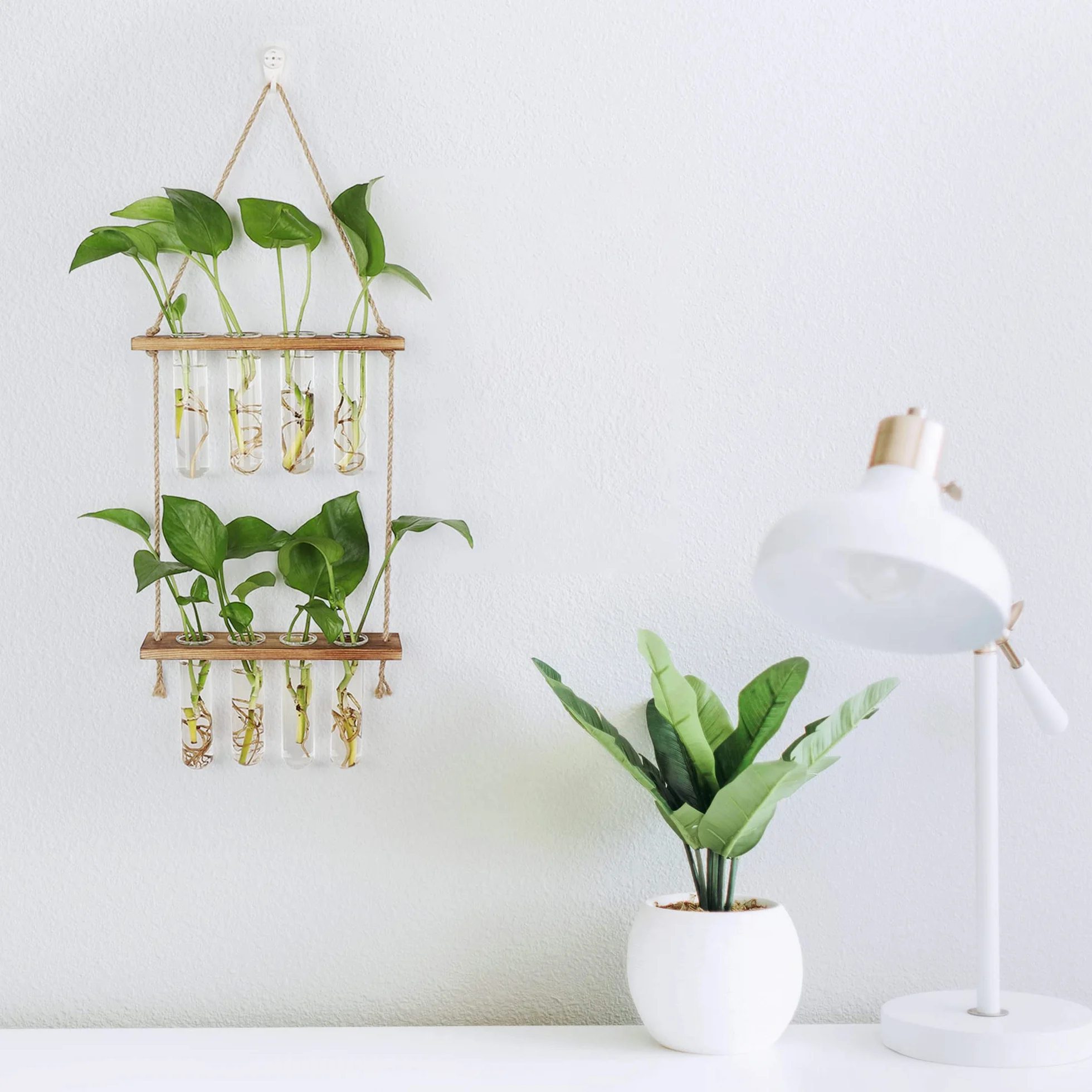 Hyindoor Station de Propagation avec Support en Bois Vase Mural 8 Tubes à Essai en Verre pour Plantes Hydroponiques