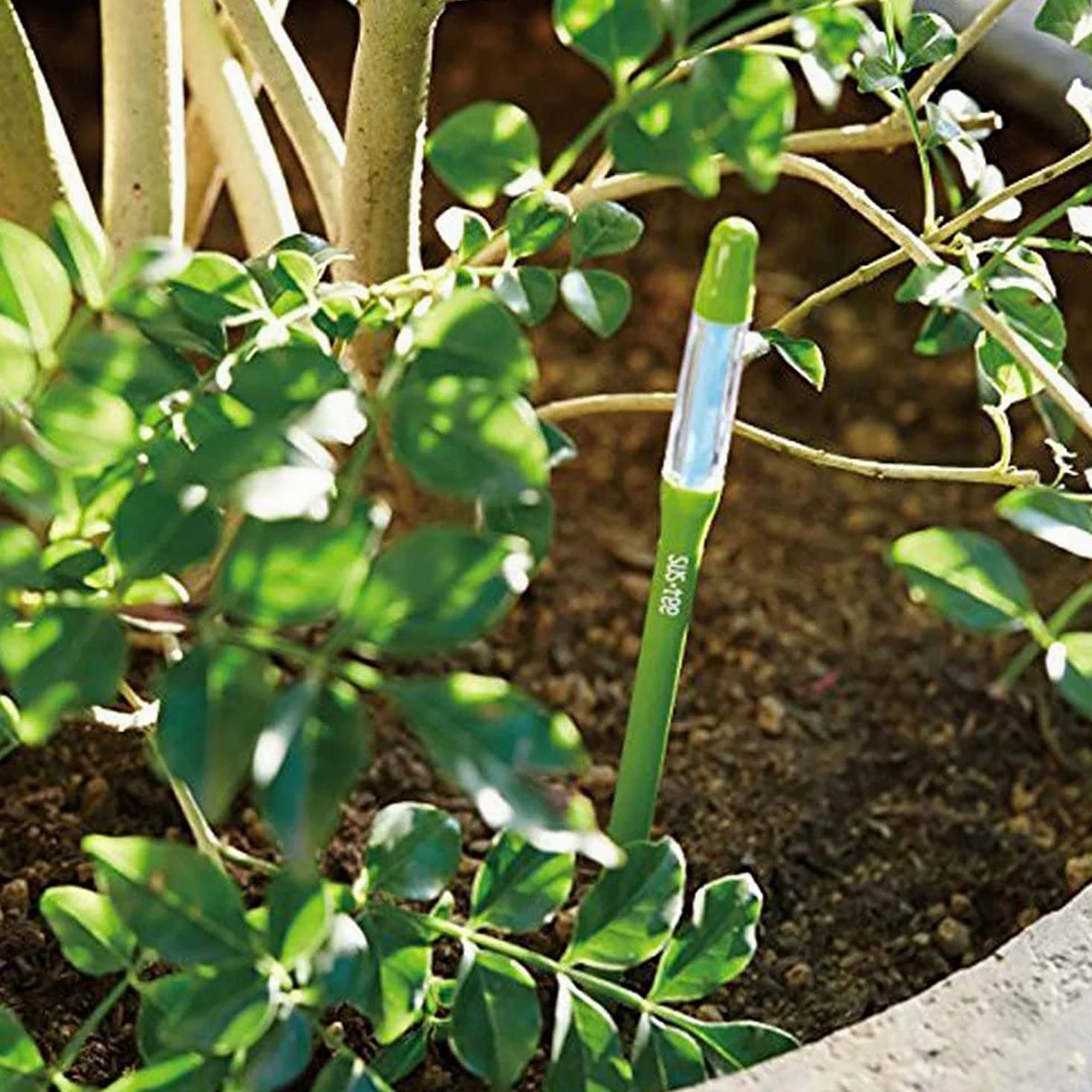 IPPINKA Sustee Aquameter – Lot de 24 – Humidimètre de sol pour plantes d'intérieur – Vert moyen rechargeable