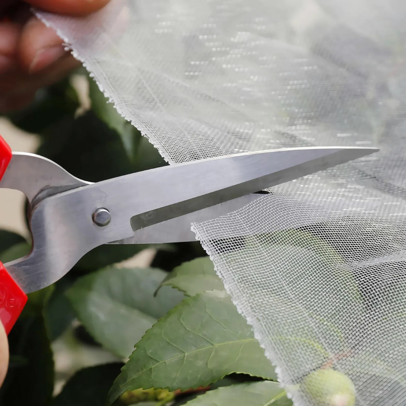 Filet Anti Insecte,6 * 7m Filets pour Jardin, Filet Anti Insecte Potager, Maille Fine Anti Oiseaux en Maille pour la Protection des Graines,Plantes, Fleurs, Légumes et Fruits