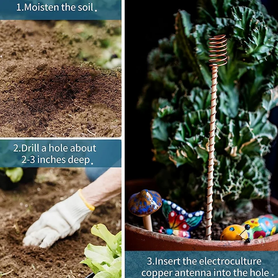 Lot de 24 piquets pour plantes d'électroculture, longueur 300 mm, longues tiges de jardin en cuivre, électroculture, jardinage, bobines de cuivre, outils de fil pour cultiver des plantes de jardin et