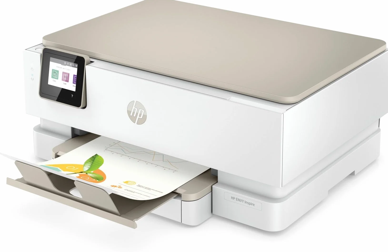 HP Stampante 242P6B V2