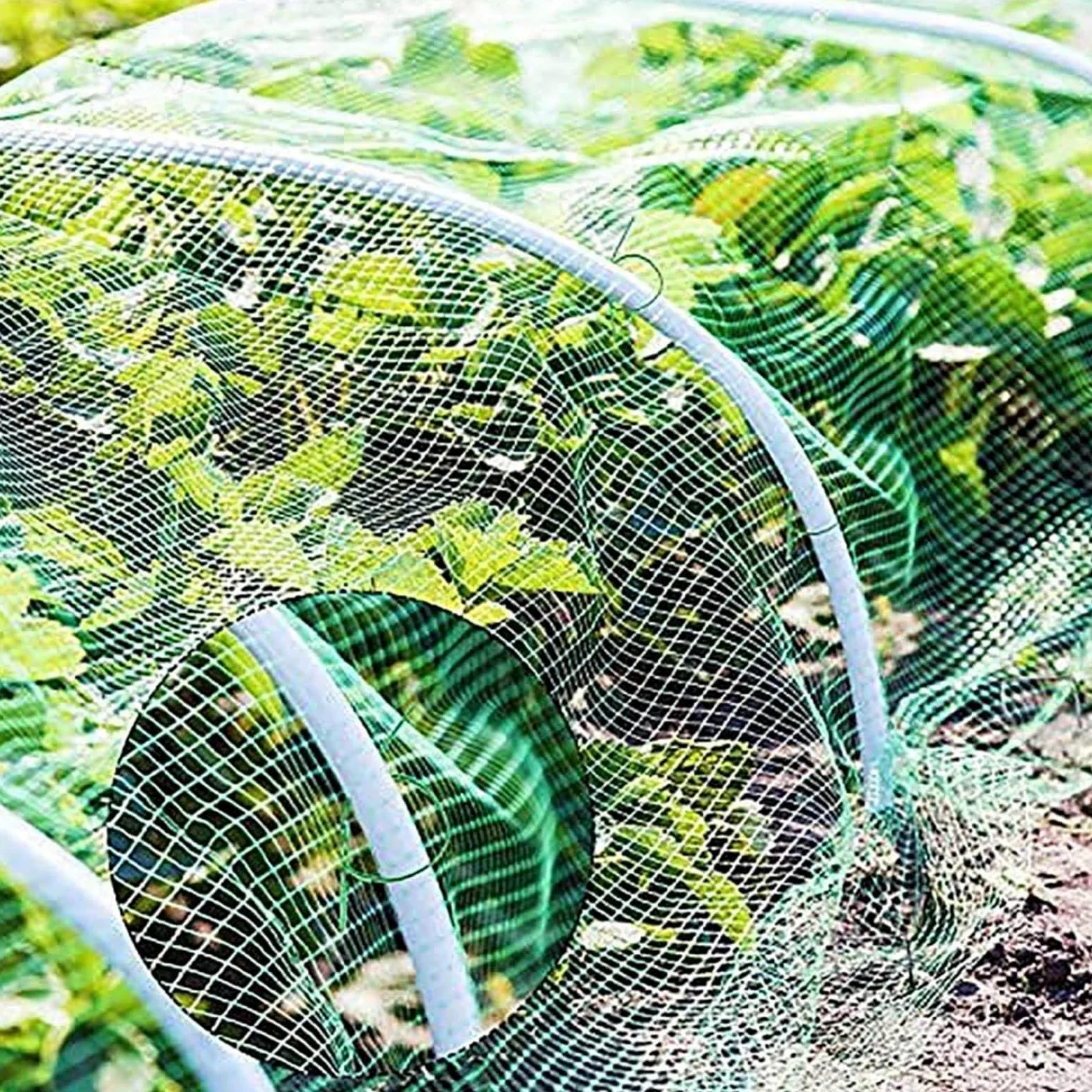 Filet Oiseaux Arbre Filets pour Jardin Protégez Arbres Fruitiers Protéger Les Plantes, Les Fleurs et Les Légumes,4x10m