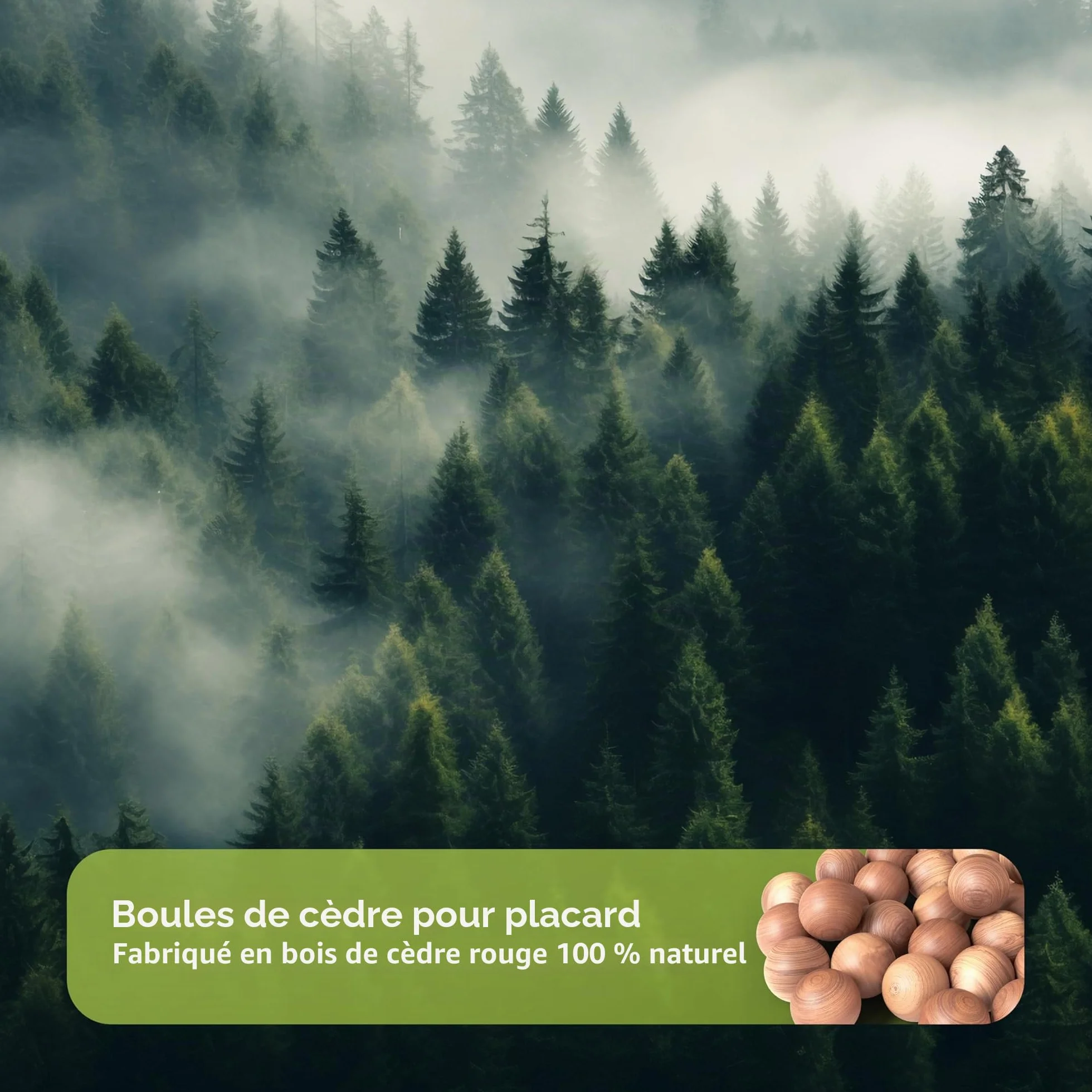 Boules de Cèdre Naturel Anti Mites Textiles Penderie Protection Durable Armoires Tiroirs Placards Chaussures Cedar