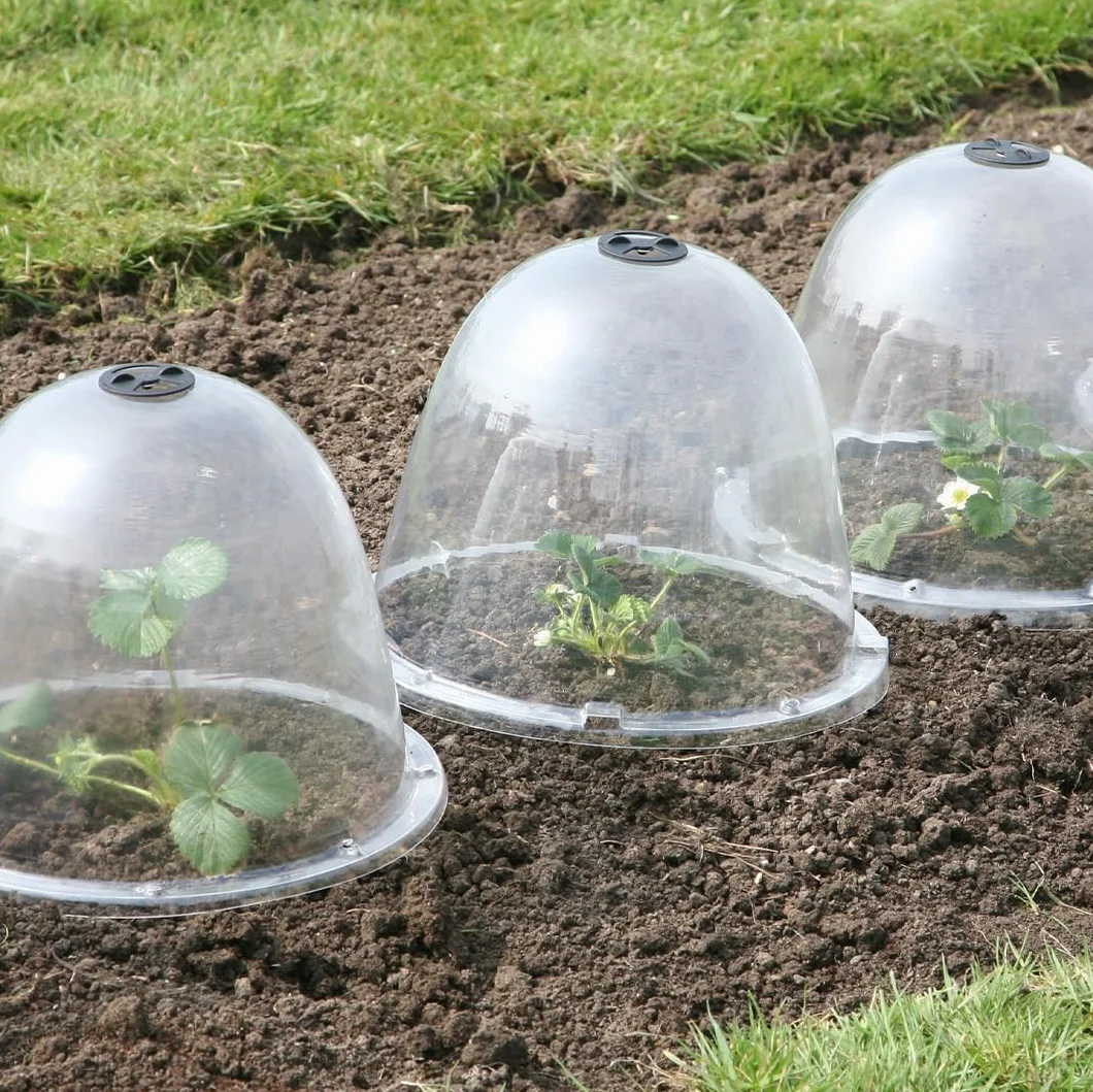 Haxnicks TIERRA GARDEN Lot de 3 Cloches de Jardin Transparentes Original 34 x 26 cm