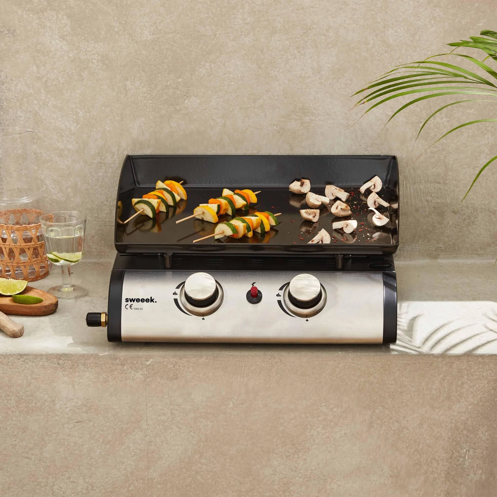 Alice's Garden Plancha au gaz 2 brûleurs Porthos 5 KW INOX Barbecue