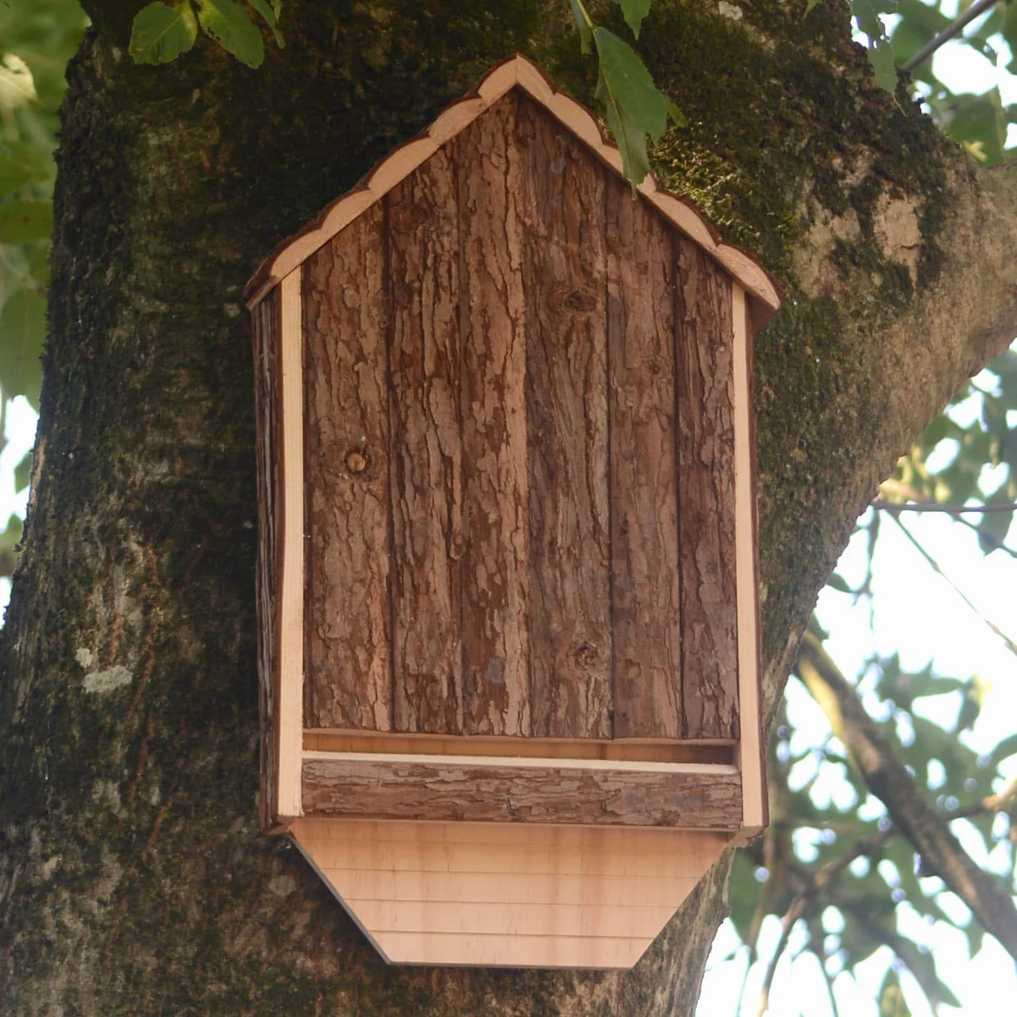 CKB LTD Abri extérieur en Bois pour Chauve-Souris Hôtel 30,5 x 6,5 x 46,5 cm