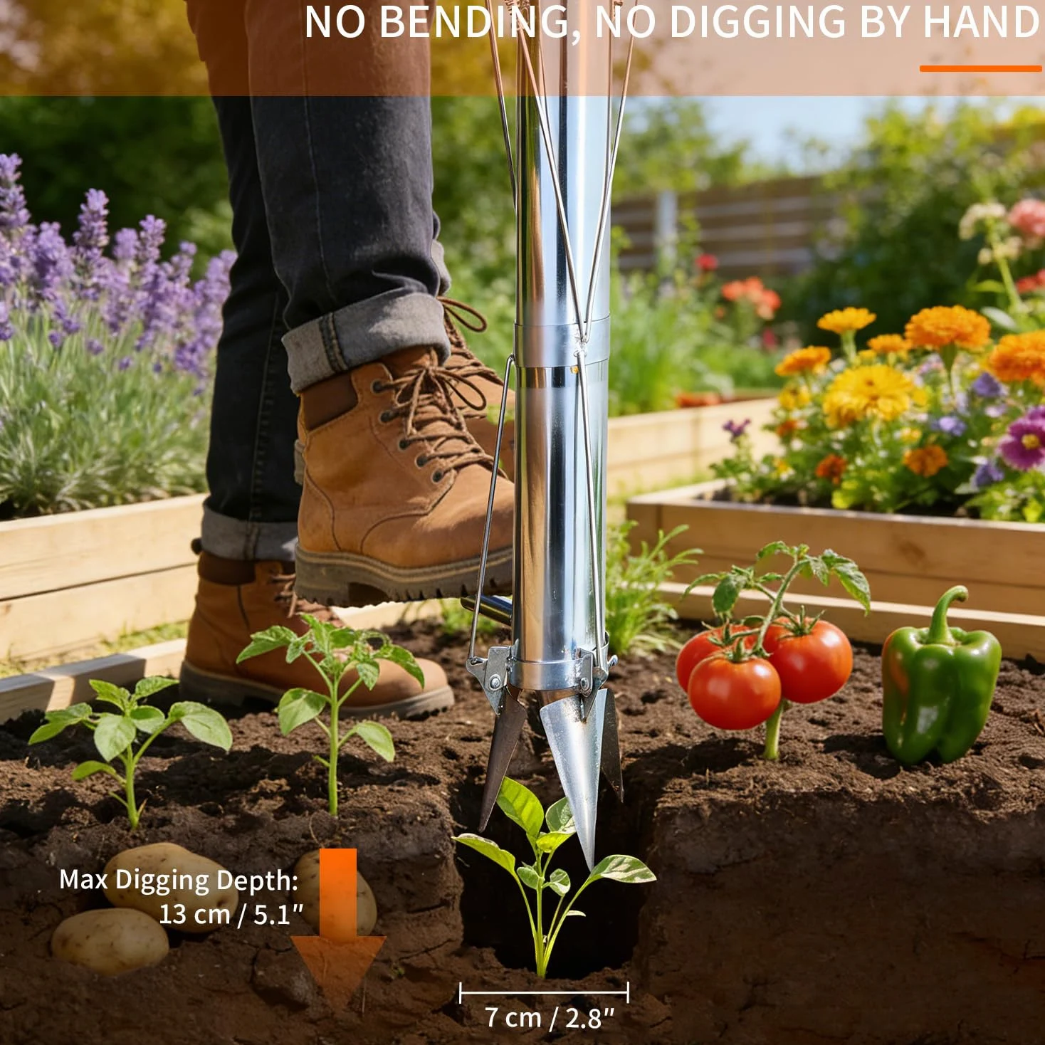 BAUSATZ Lot de 2 outils de transplantation de bulbes de jardin, outil de jardinière de bulbes de 86,4 cm de long, en acier inoxydable, pour transplanter des légumes, planteur de semis | Lot de 2 pièces