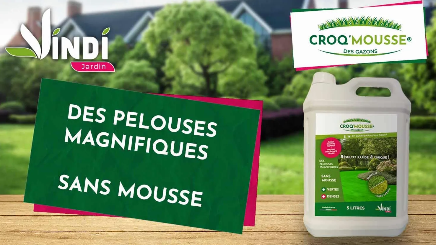 VINDI JARDIN - CROQ'MOUSSE des gazons – Engrais liquide organo-minéral 3 en 1 – Pelouse « sans mousse/+verte/+dense » - bidon 5L – Traitement pour 500m2 – Fabrication Française.