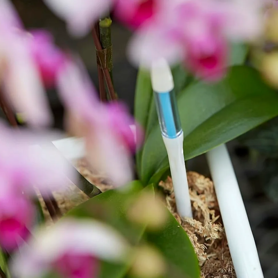 Aquameter Soil Aqua Meter Est un Testeur D'Humidité Du Sol pour Plantes D'Intérieur en Pot.