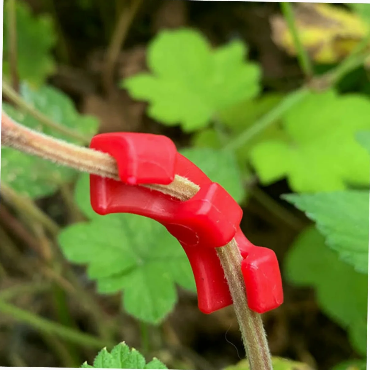HANABASS 5 Ensembles Clips De Support pour Tiges De Plantes Outil De Jardinage pour Formation Et Redressement des Plantes Fixation Facile pour Vignes Et Arbres Accessoires De 60 Pièces * 5