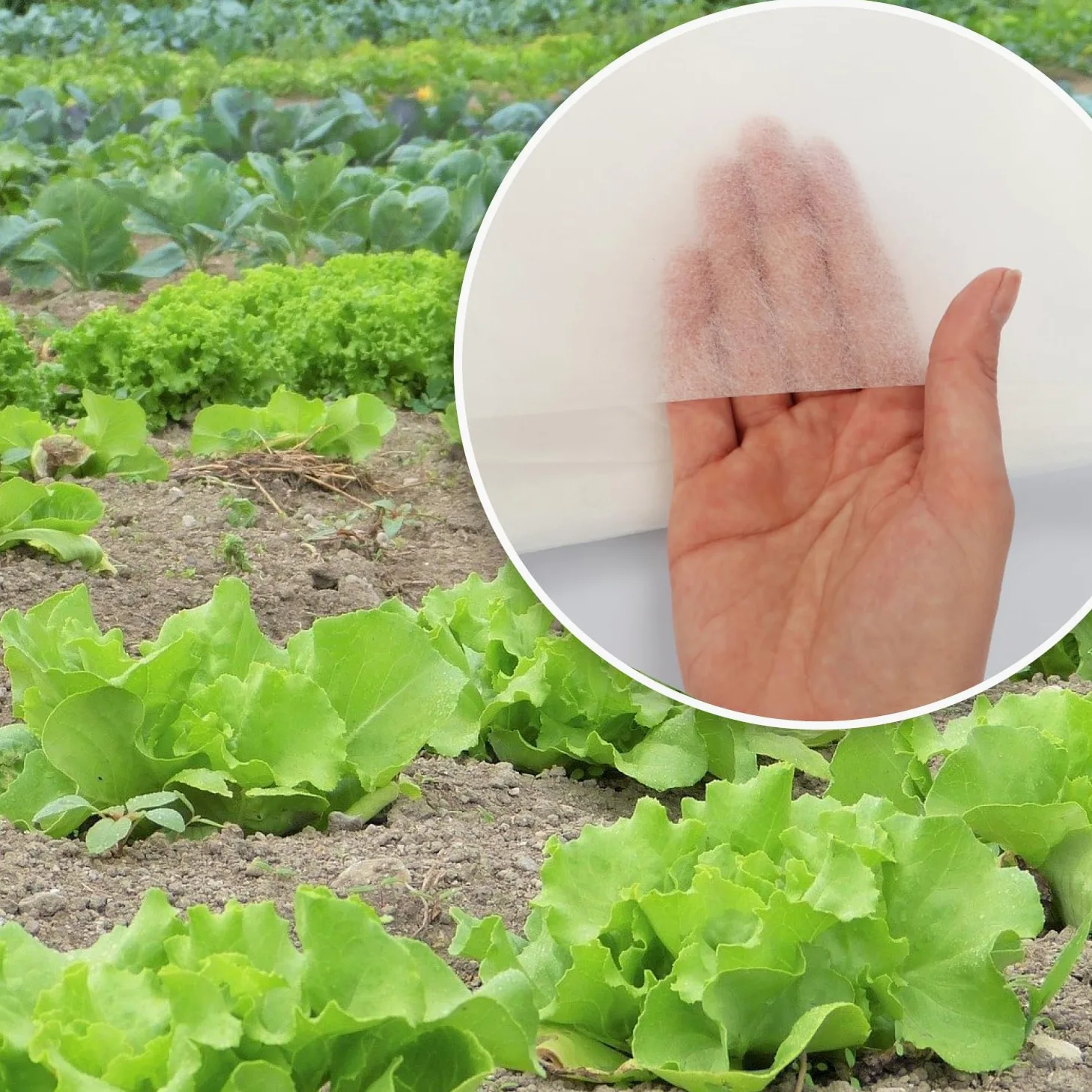com-four® Voile d'hivernage 67,5 m² pour Plantes, 9X Protection antigel | couverture de jardin pour potager et carré surélevé - textile découpable pour fleurs et DIY
