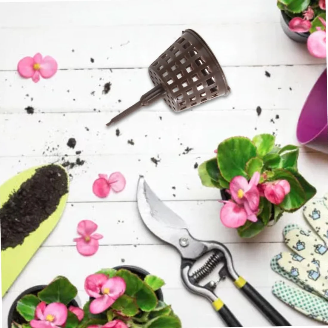 Boîte d'engrais en plastique 100pcs pour bonsaï avec couvercle outil de jardinage