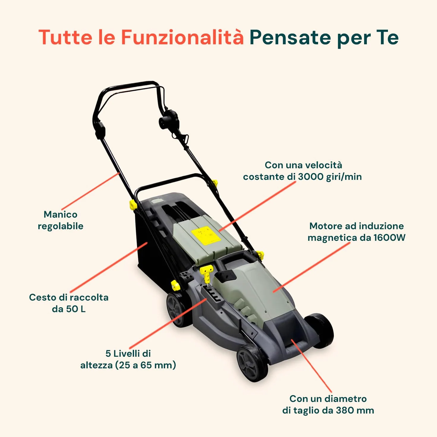 Avilia Tondeuse à Gazon électrique à Induction – Tondeuse à Gazon réglable 5 hauteurs de Coupe, diamètre de Coupe 380 mm, Vitesse 3000 TR/Min, 1600 W, 230 V, avec Panier de Collecte 50 L, 143 x 105 x